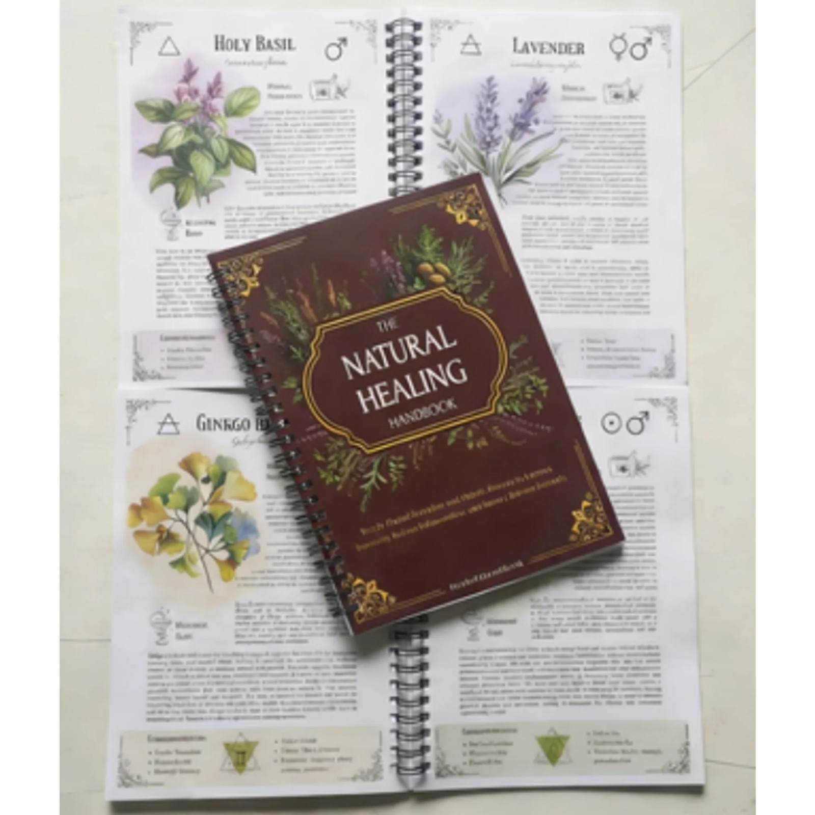 Natural Healing Handbook Herbal Remedies Spiral Notebook Plant Lovers Book