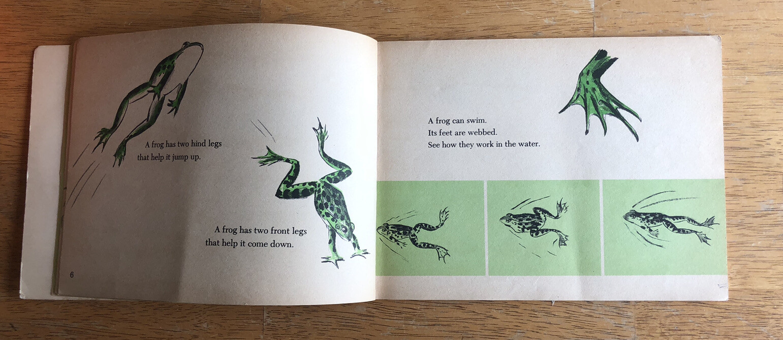 Vintage 1963 What is a Frog? by Gene Darby, Scholastic First Printing Paperback