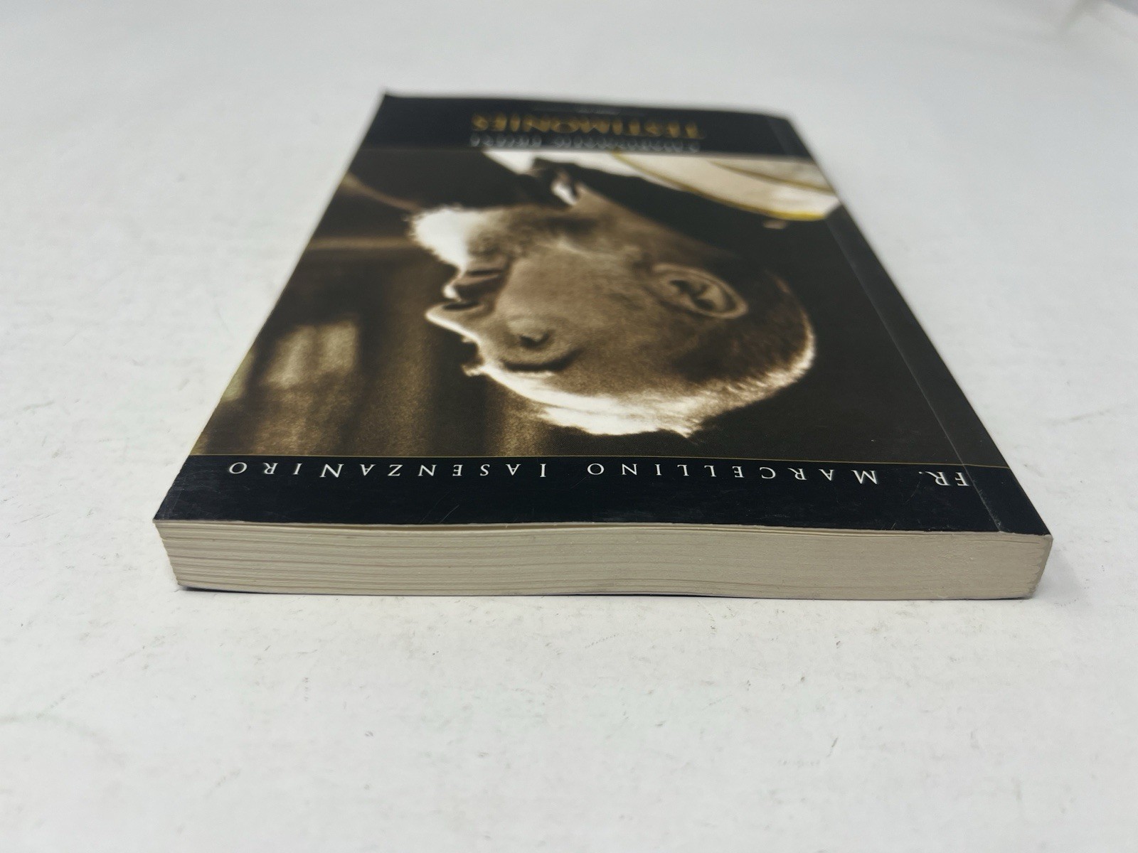 Charismatic Priest Testimonies, Part 2: The Padre Saint Pio of Pietrelcina pb