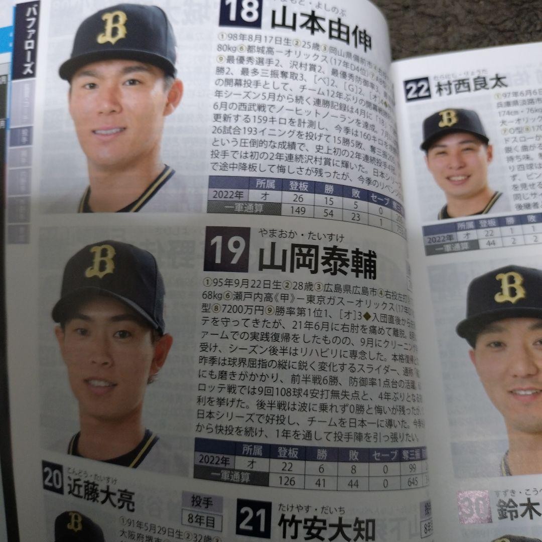 2023 Pro Baseball All Teams Color Directory 12 Teams Sports Card Album