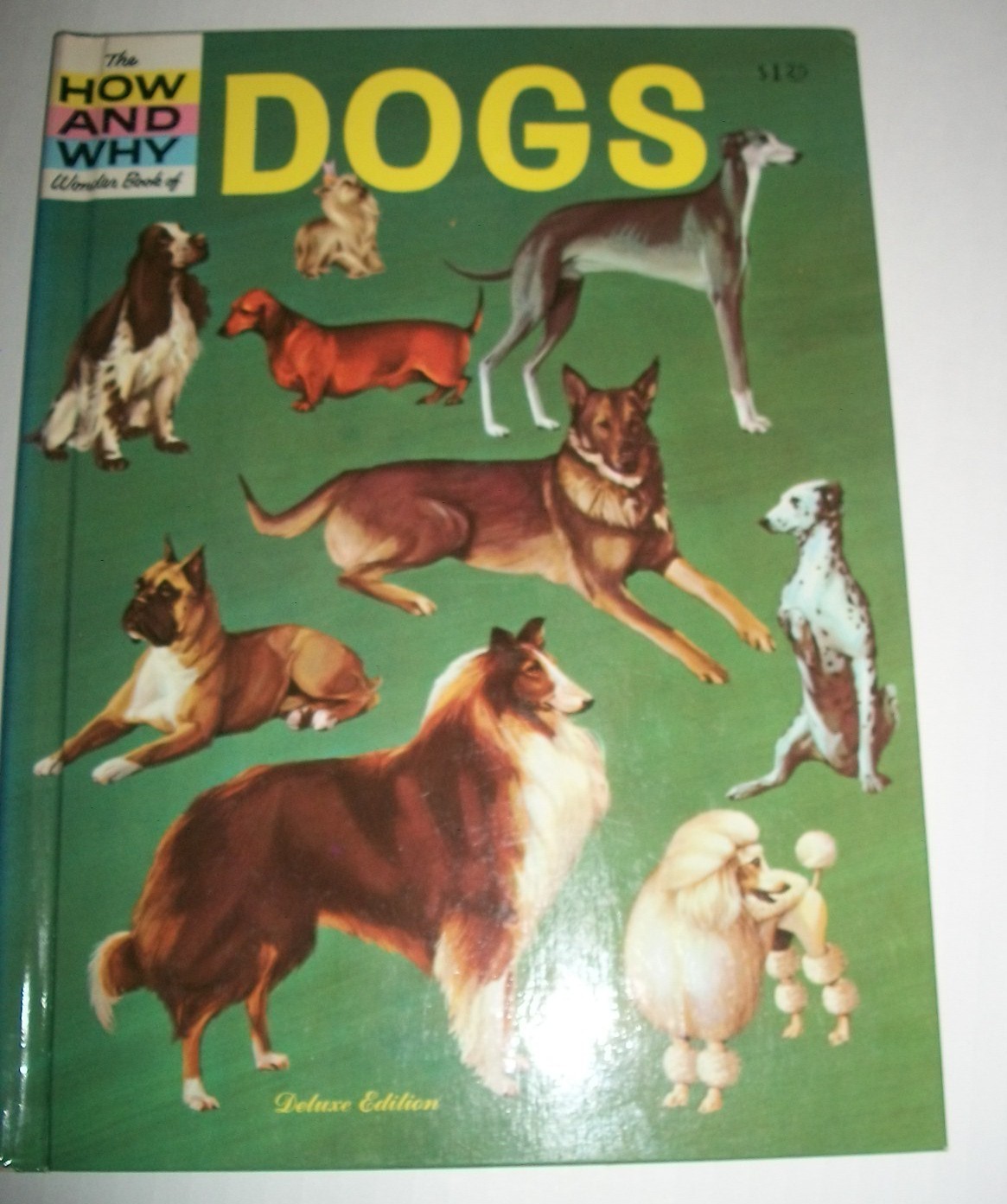 The How and Why Wonder Book of Dogs $1.25 Deluxe Edition G&D 1962 Robbin 4031 EX