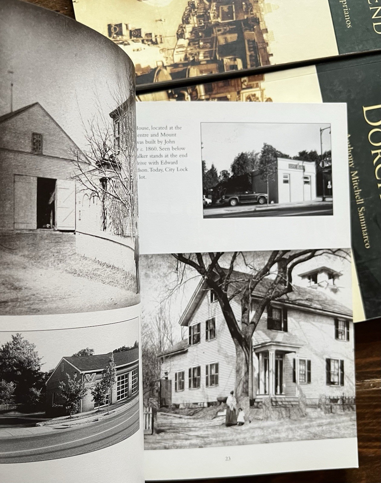 THEN AND NOW Books Lot: Boston’s South End Roxbury Dorchester Massachusetts MA