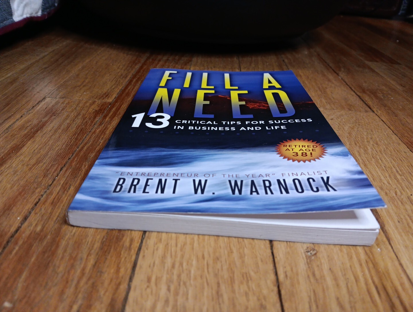 Success in Business and Life, Fill a Need 13 Critical Tips for – Tr Pb Book