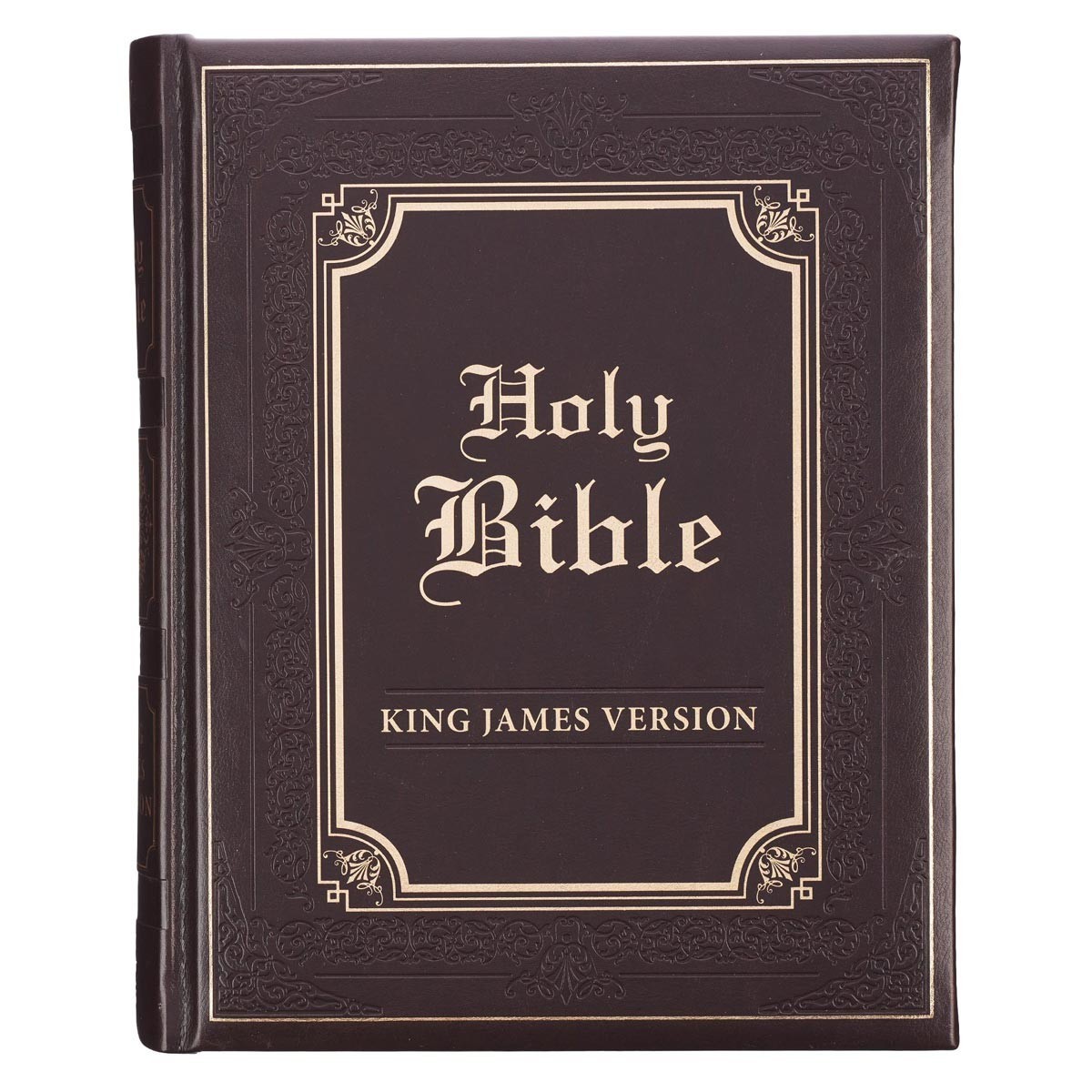 The Holy Bible King James Version Gustave Dore Illustrated Family Bible