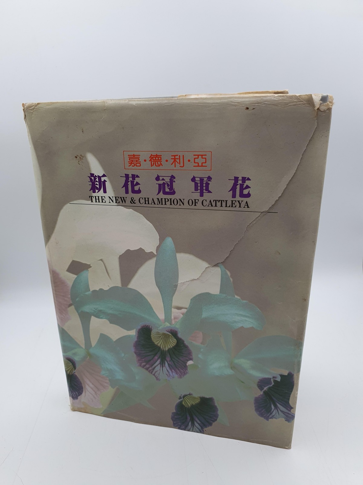 Chen Yaow Chi The New & Champion Of Cattleya 1989 Hardcover Dust Jacket Taiwan