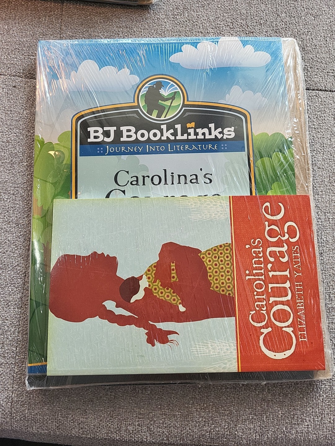 BJ Booklinks: Carolina’s Courage by Elizabeth Yates novel included Ages 7-9 Home