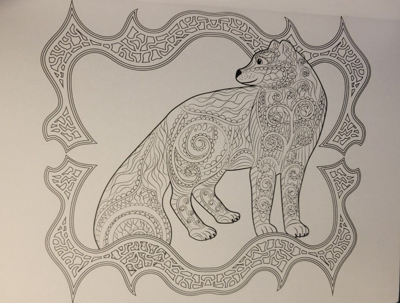 MAGNIFICENT CREATURES Vol 19 – Adult Coloring Book by TOPIX MEDIA – 47 PRINTS