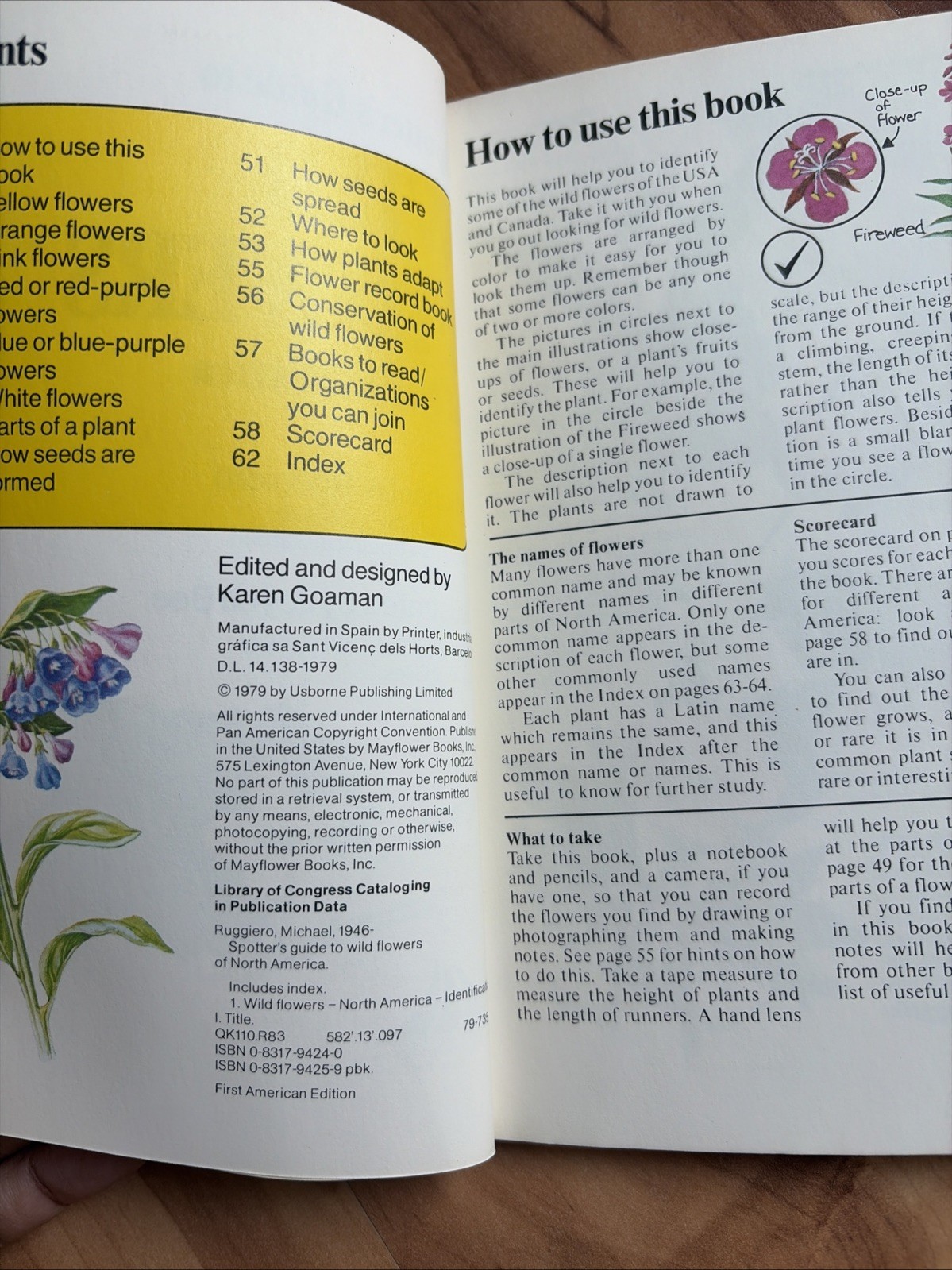 Wild Flowers: Of North America (Spotters Guide) 1979 First American Edition