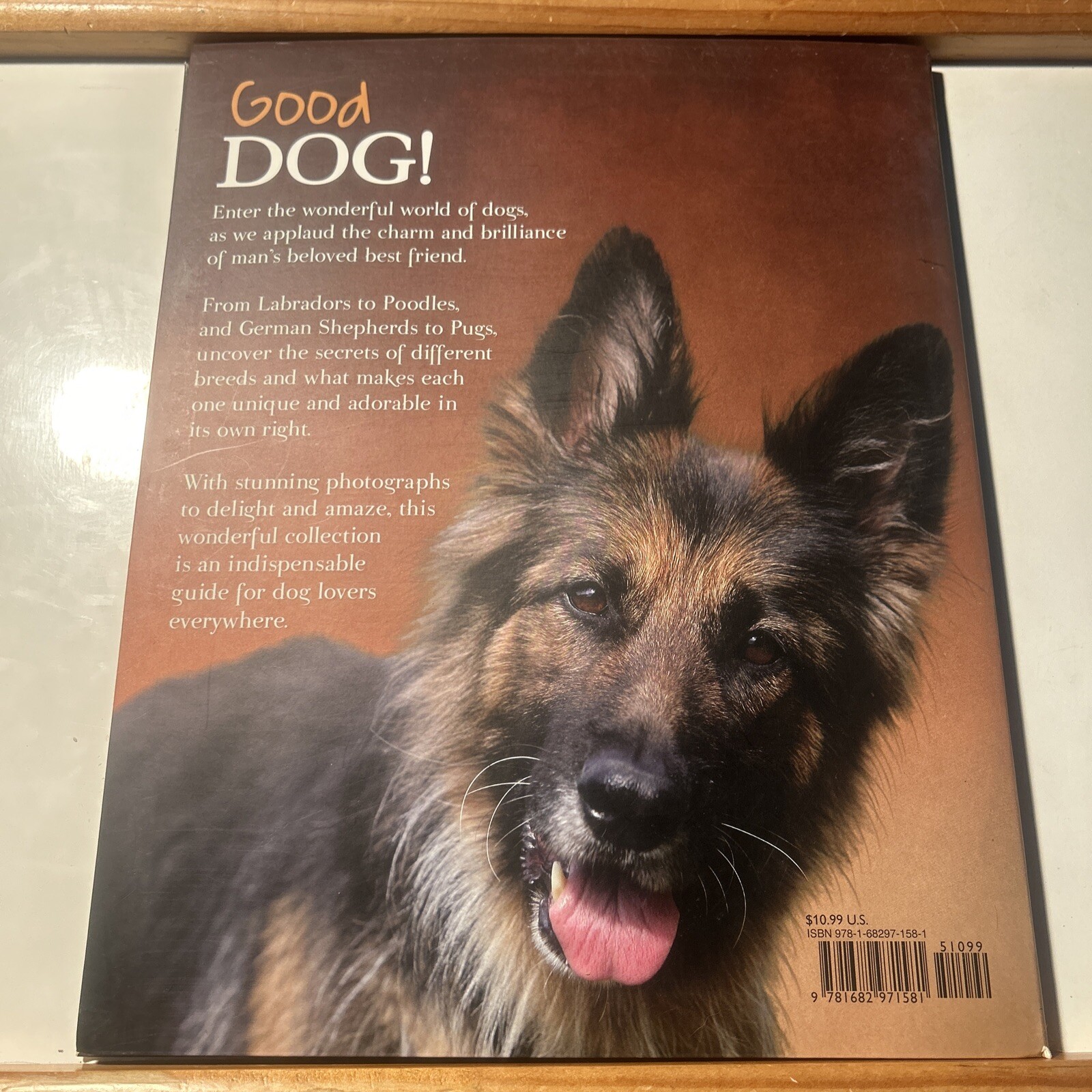 Good Dog Large 12 X 9-1/2 inch Dog Breed Picture Book w/ Center Puppy Fold Out