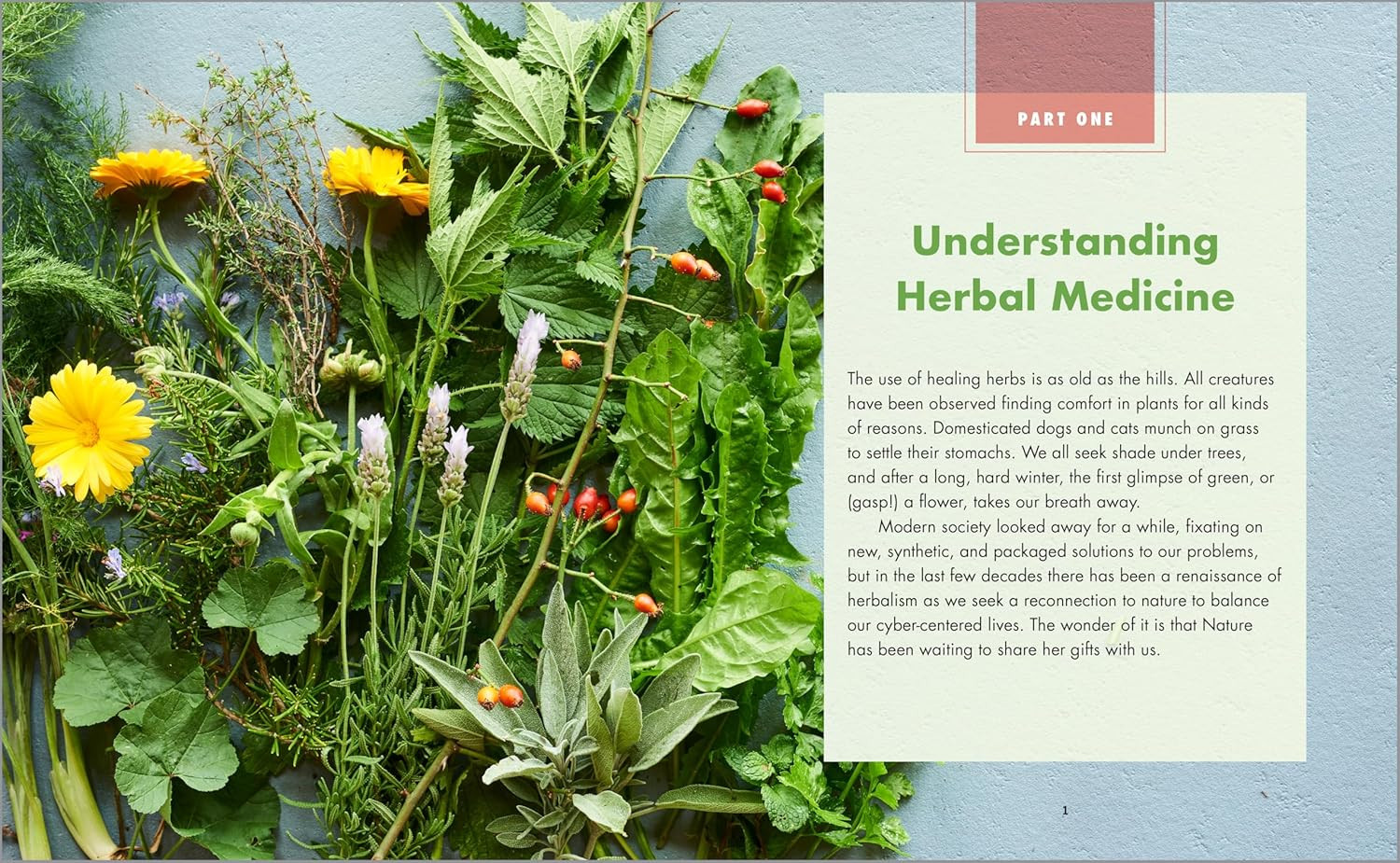 The Big Book of Herbal Medicine: 300 Natural Remedies for Health and Wellness