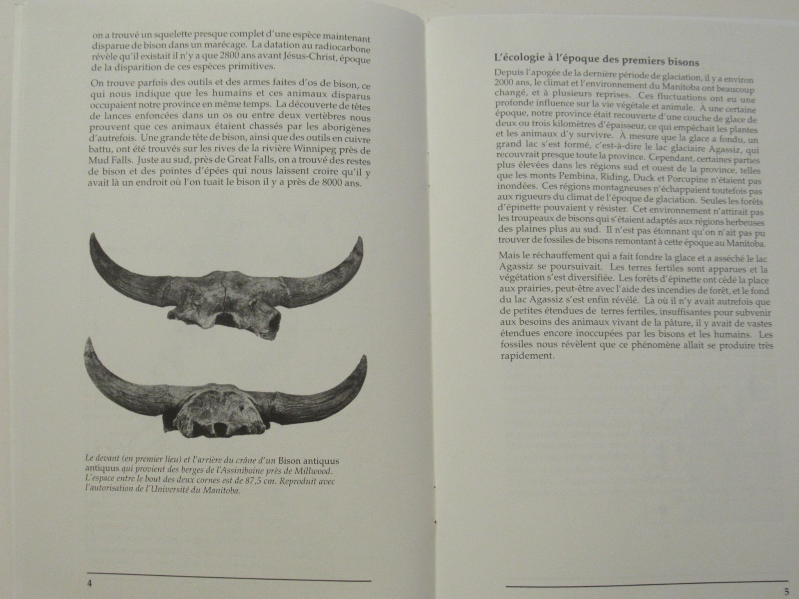 EXTINCT BISON OF MANITOBA – In English & French – 20 pages – 1996 – Canada