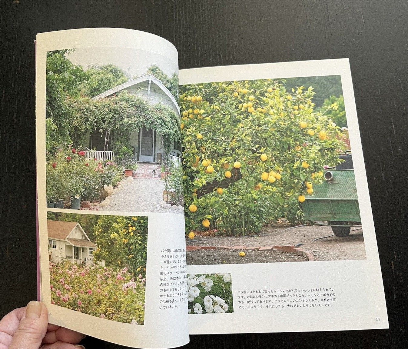 Japanese Book Good Food Life in Los Angeles ロスアンゼルスのおいしい生活
