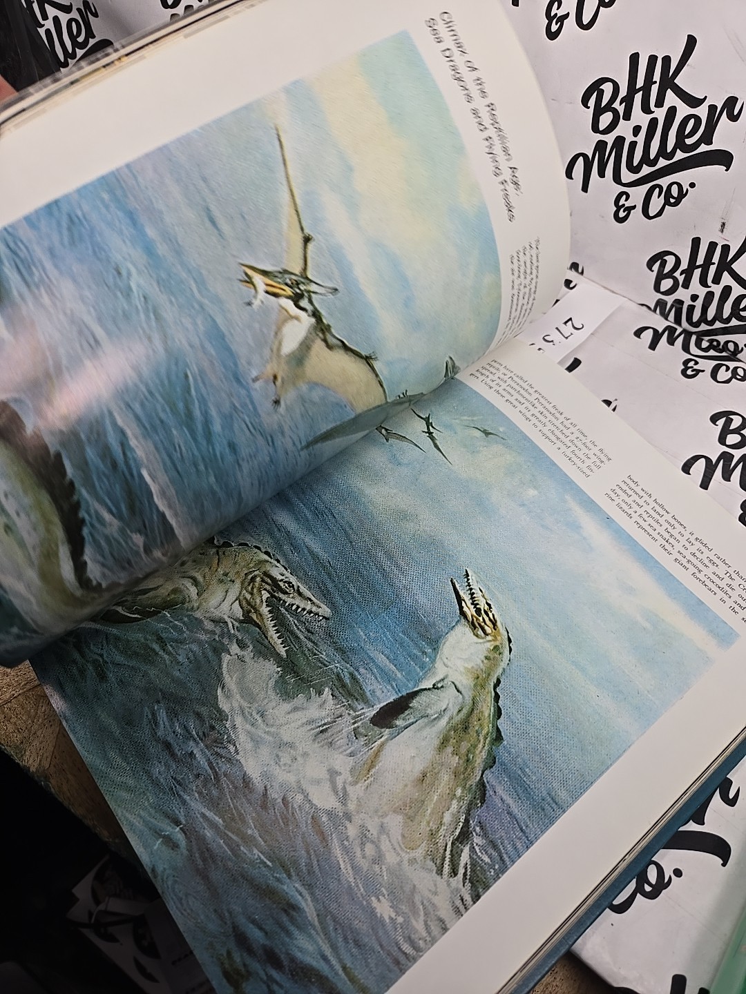 LIFE Nature Library: The Sea (1963Hardcover)