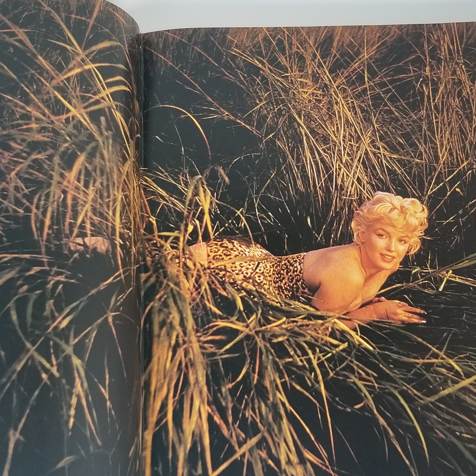 Marilyn Monroe Biography Norman Mailer Hardcover 1st Printing Vtg Hardcover Book
