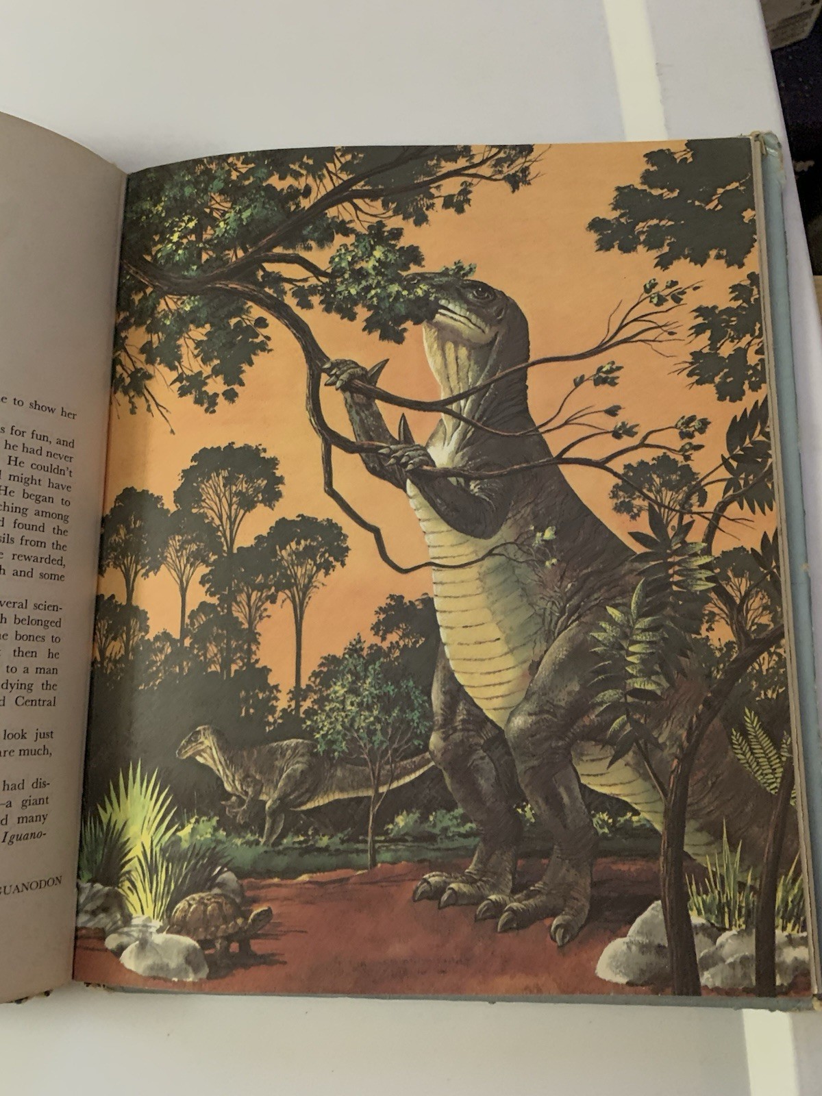 Album of Dinosaurs by Tom McGowen (1972, Hardcover)