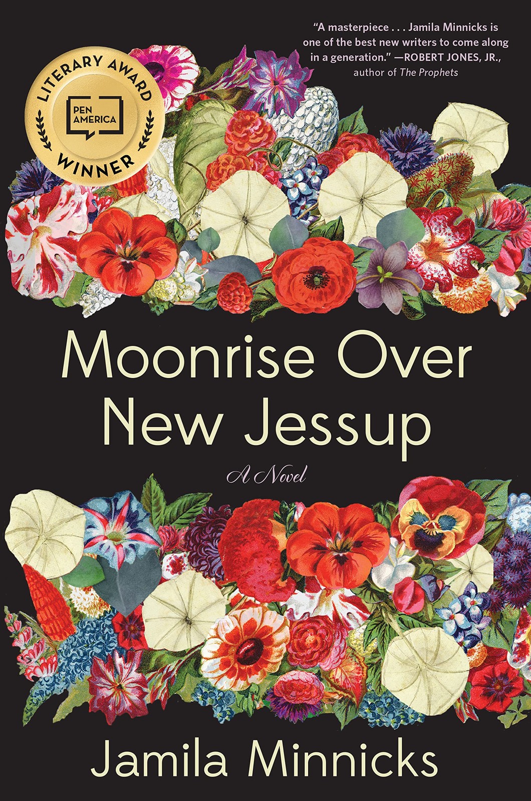Moonrise Over New Jessup: A Novel – hardcover Minnicks, Jamila