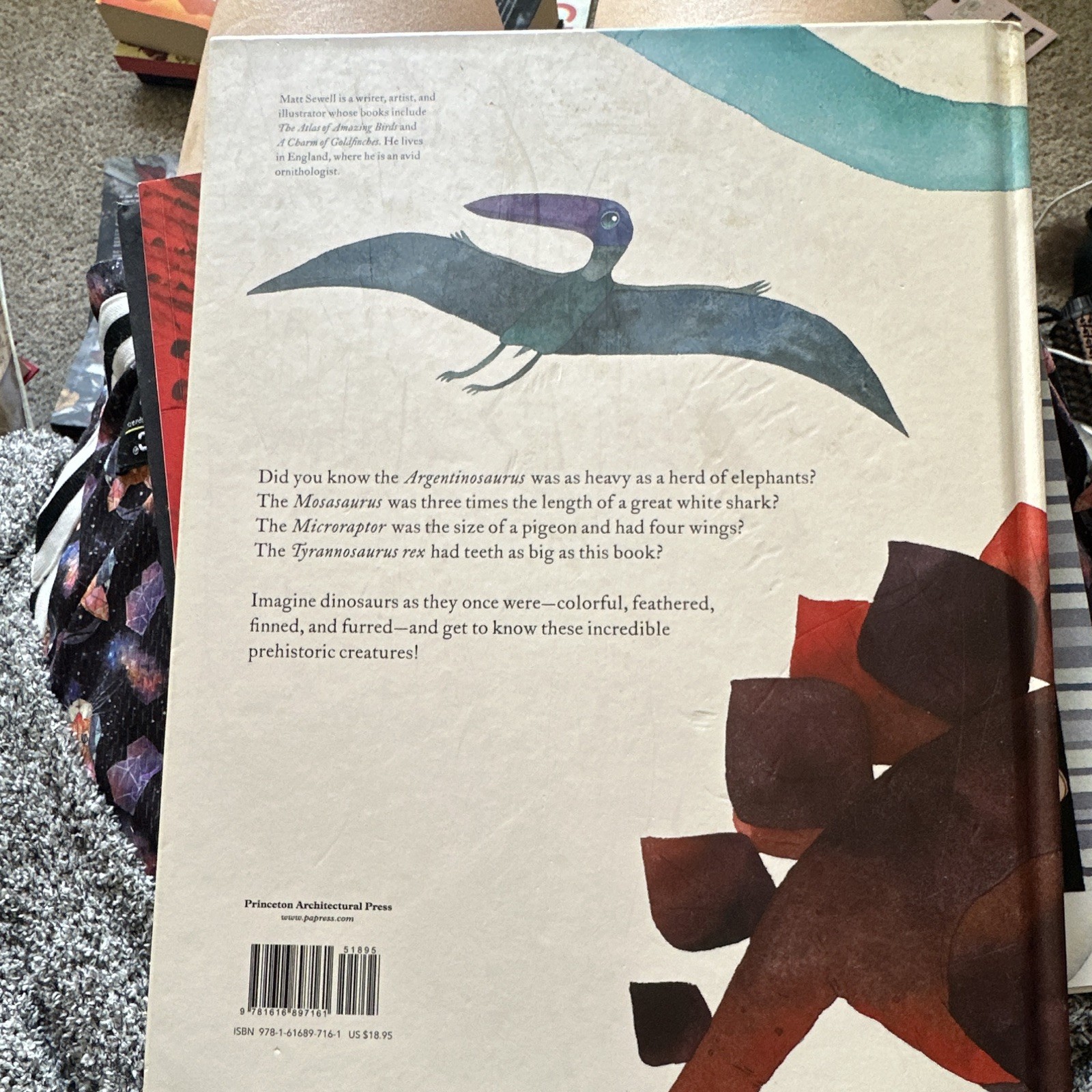 Matt Sewell The Colorful World of Dinosaurs Hardcover 2018 Princeton Ages 4-8