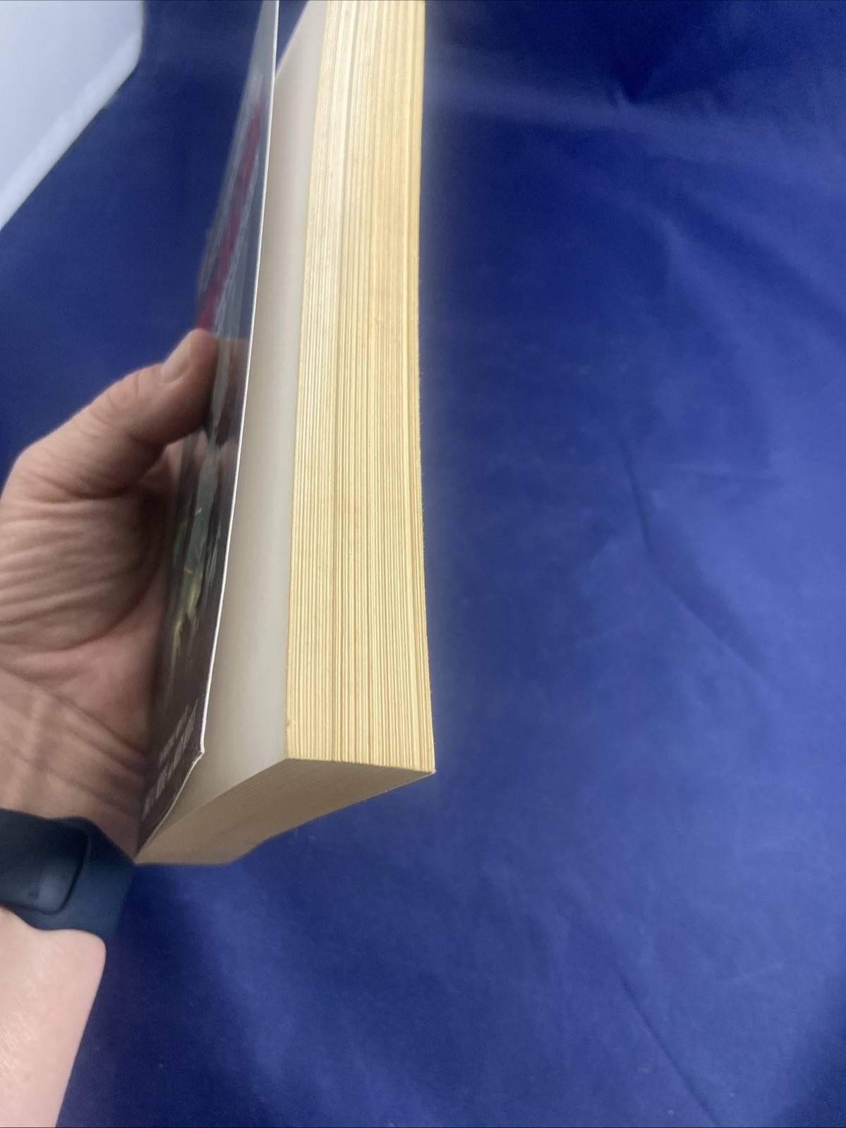 Predator: Stalking Shadows Format: Paperback