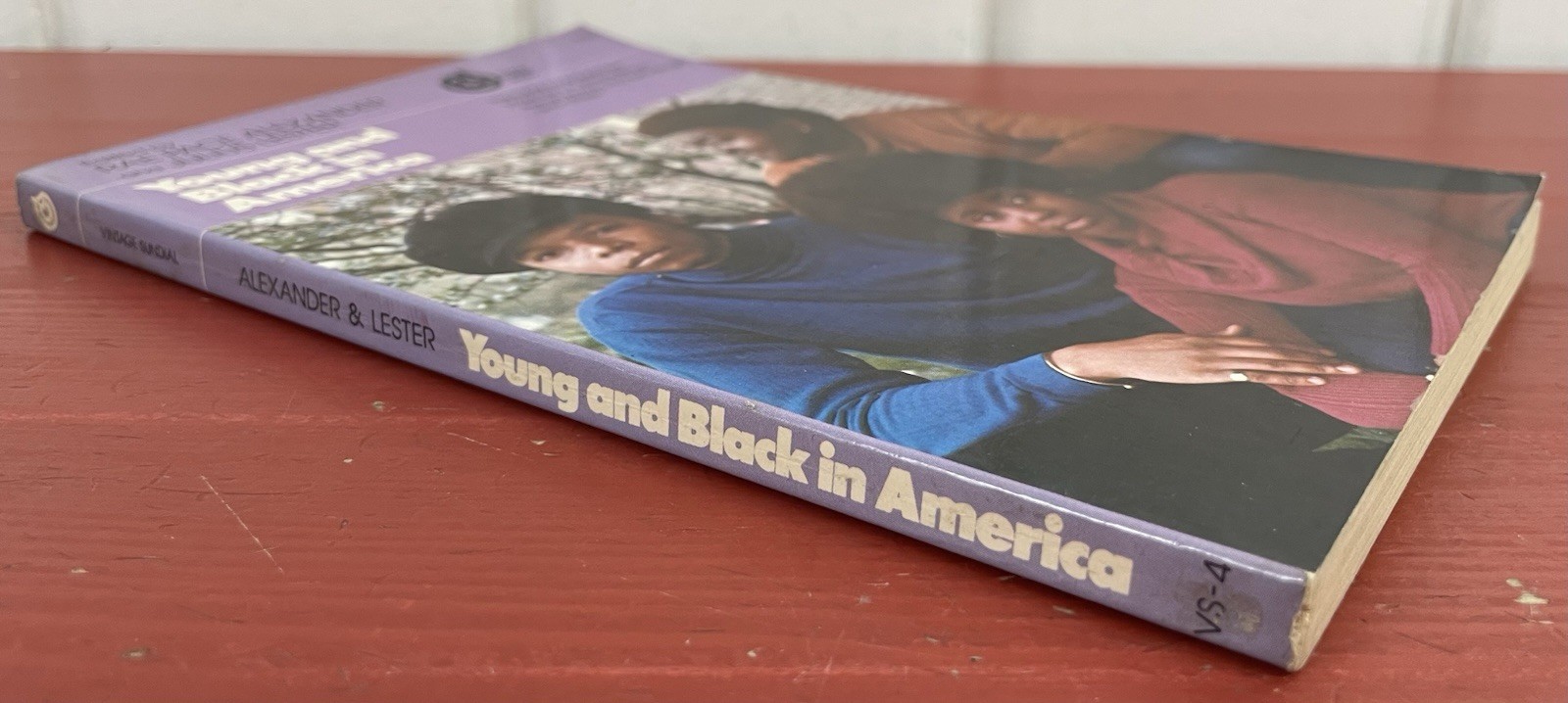 Young and Black in America by Rae Pace Alexander 1973 Malcolm X, Richard Wright