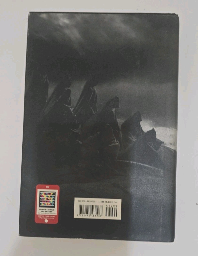 Lot of 4 Writer Becca Fitzpatrick Hush Hush Saga Series 1-4 Dust Cover Hardback