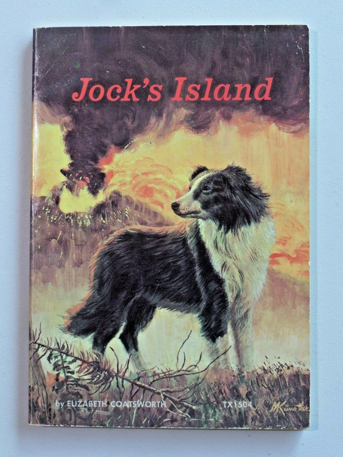 JOCK’S ISLAND by Elizabeth Coatsworth 1969 1st Print Scholastic TX 1504 7732