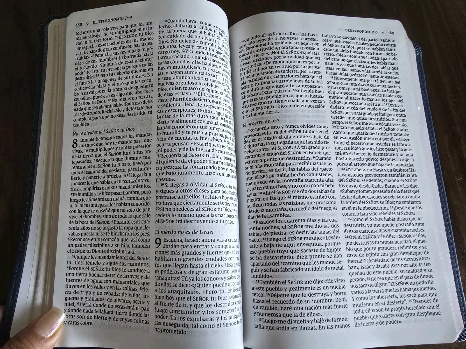 Vida Santa Biblia Del Ministro Letra grande NVI Imitation Leather 2023