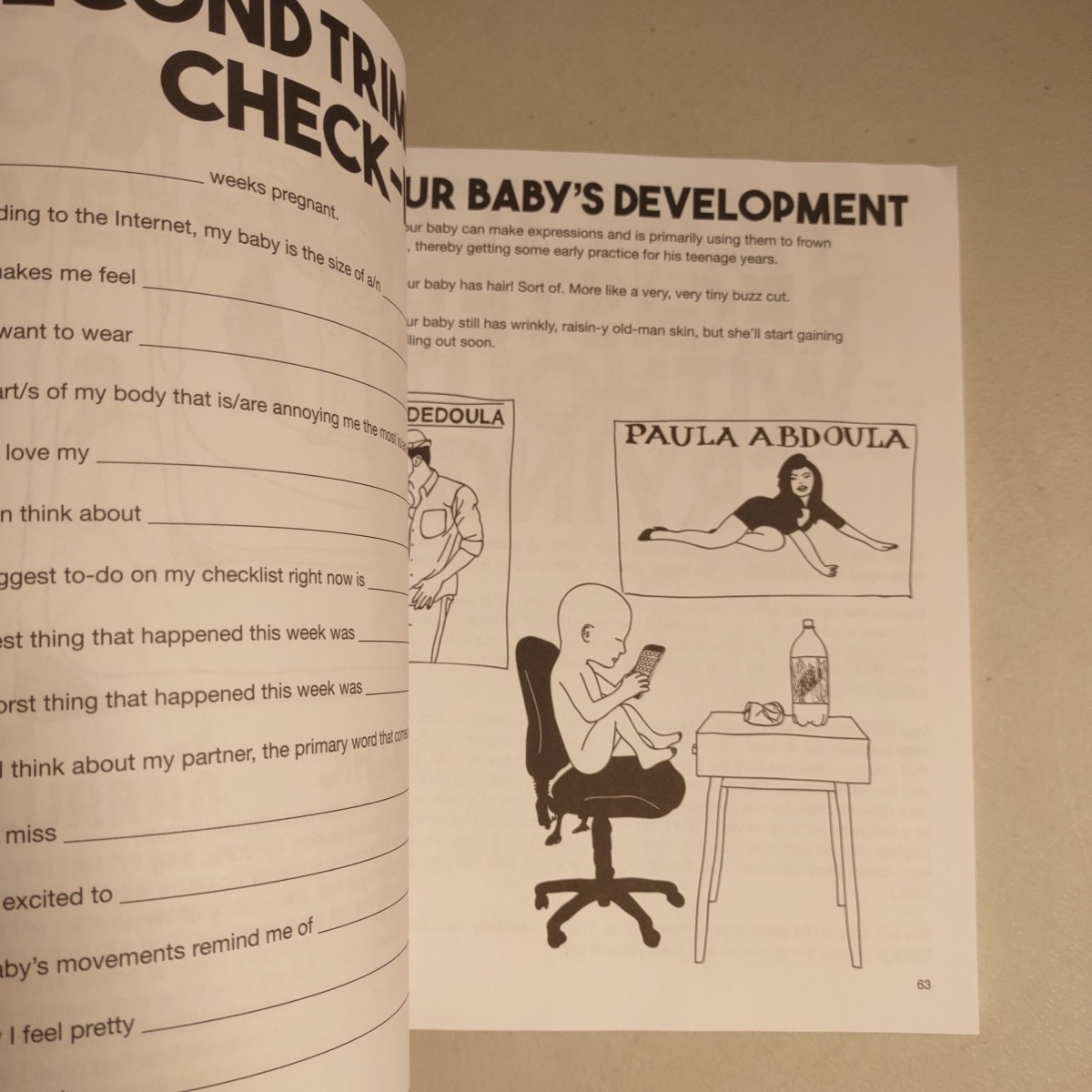 Pregnancy Book Big Fat Activity Book for Pregnant People Reid Jordan Willia_A49