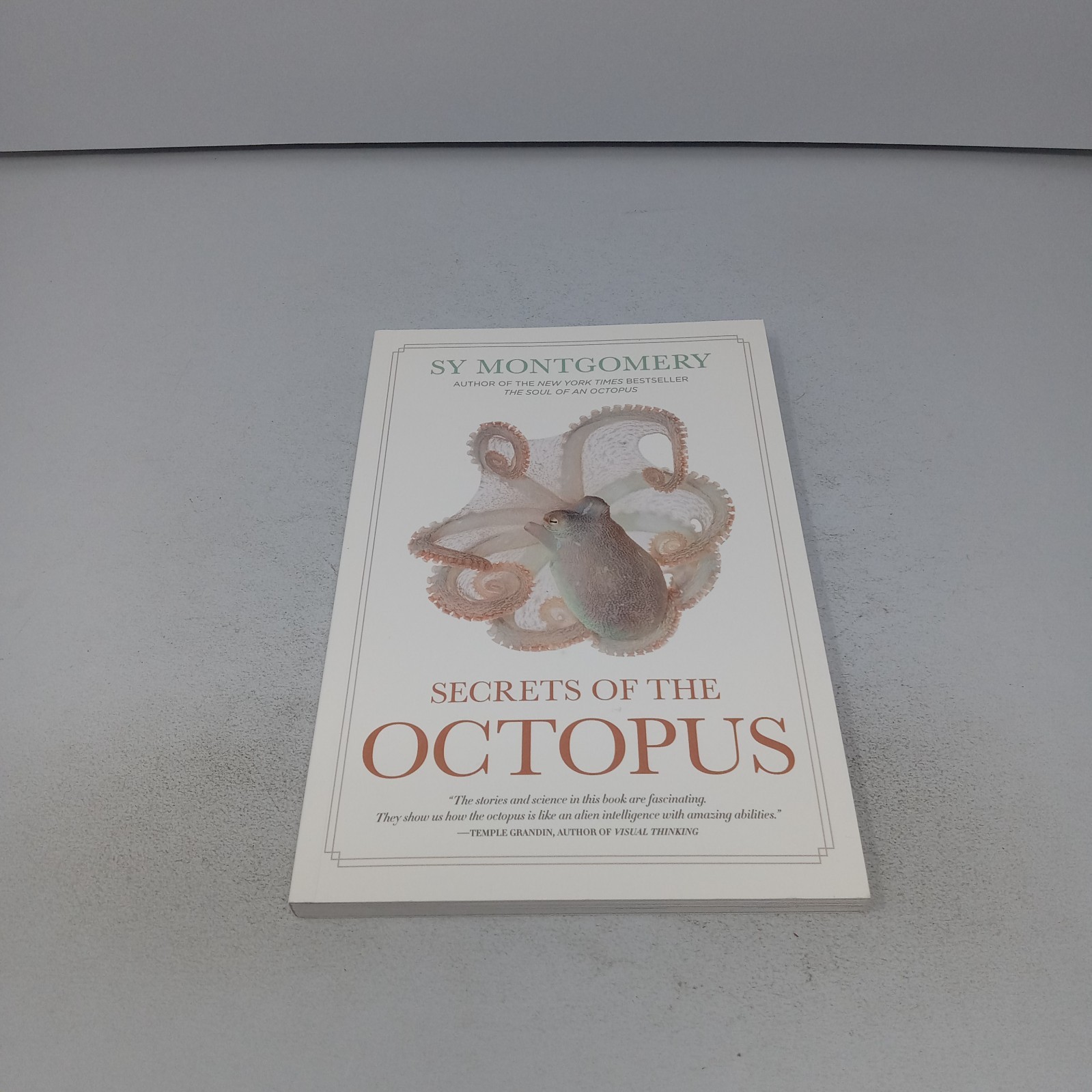 Secrets of the Octopus: 2024 National Geographic Paperback by Sy Montgomery