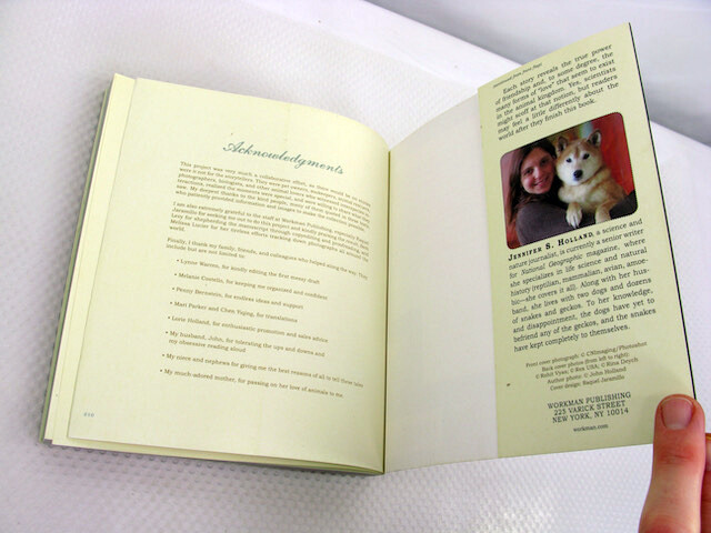 Unlikely Friendships Jennifer S Holland 2011 PB Animals Nature Relationships