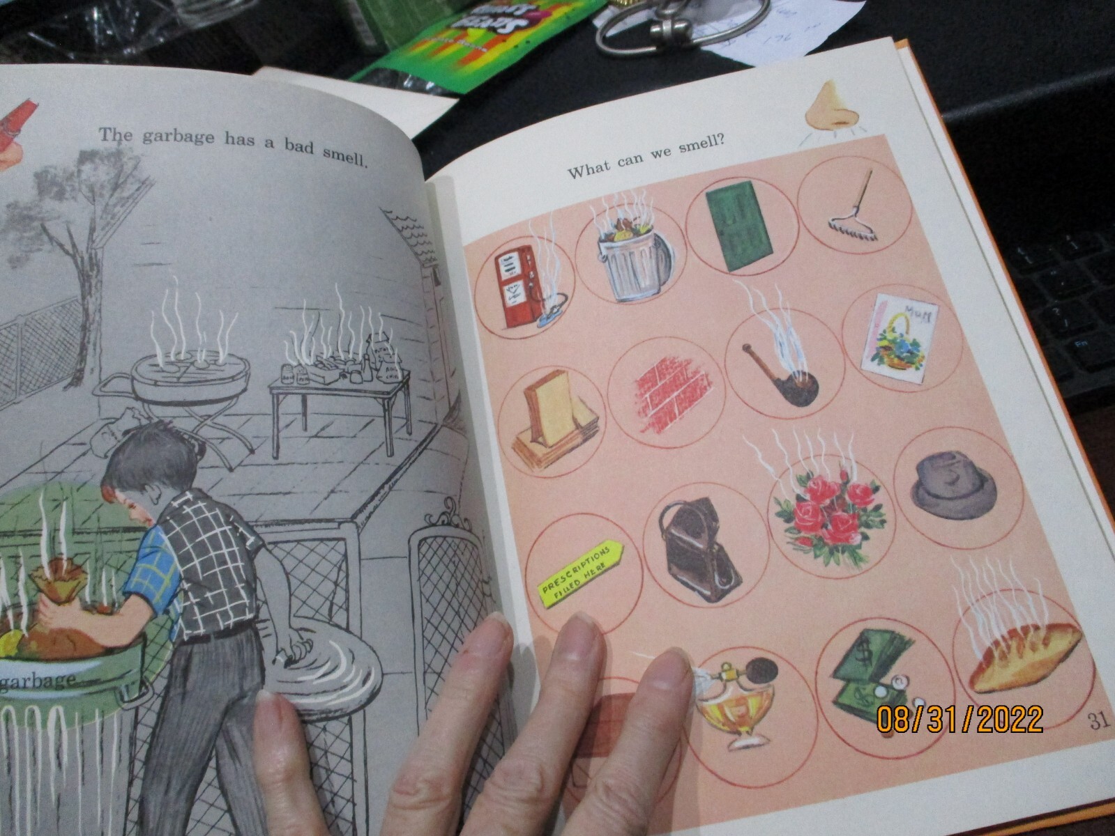 THE FIVE SENSES Benefic Press Reader Like Dick Jane Freestrom Osterberger Blackm
