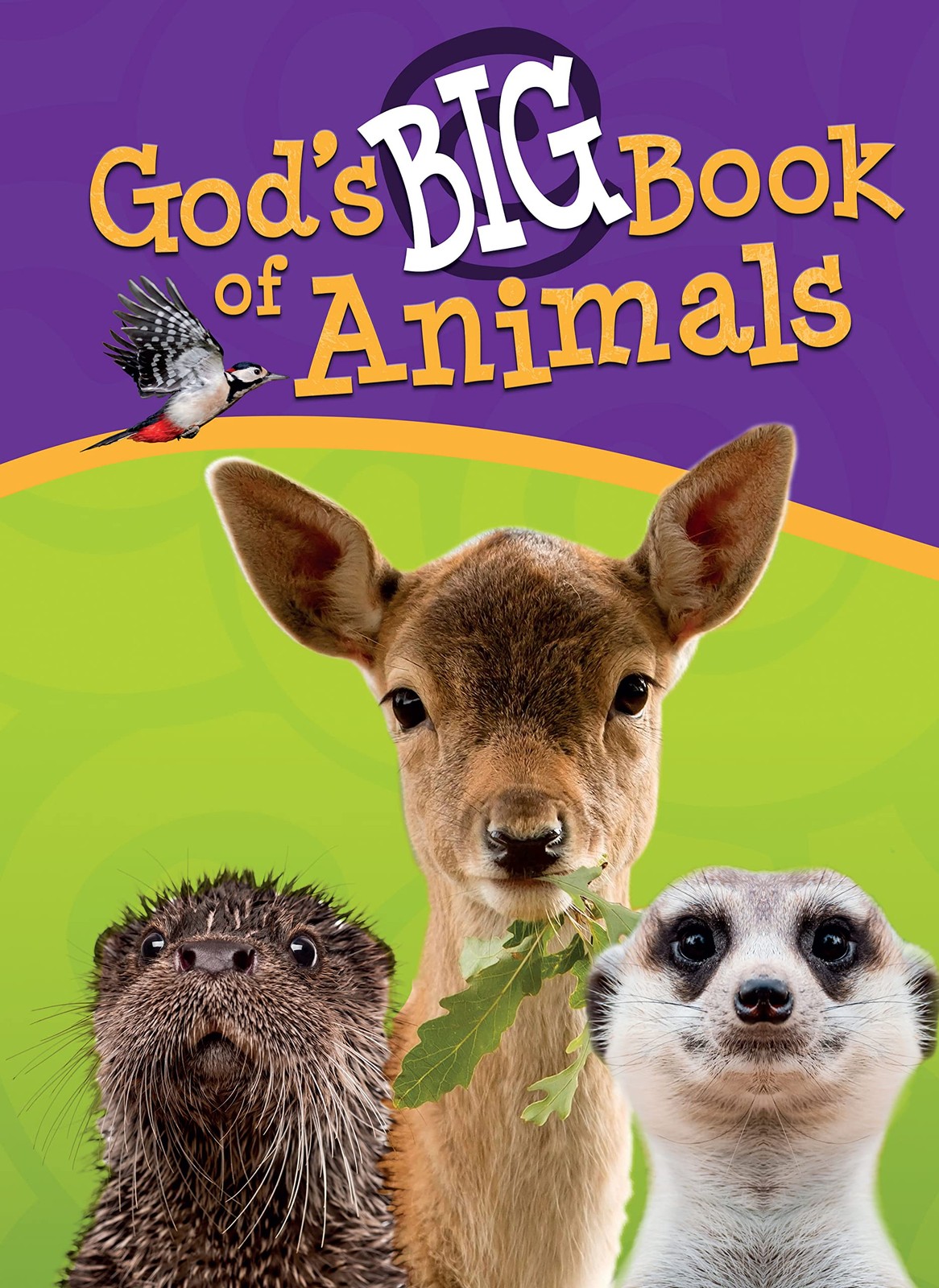 God’s Big Book of Animals by Orit Kashtan