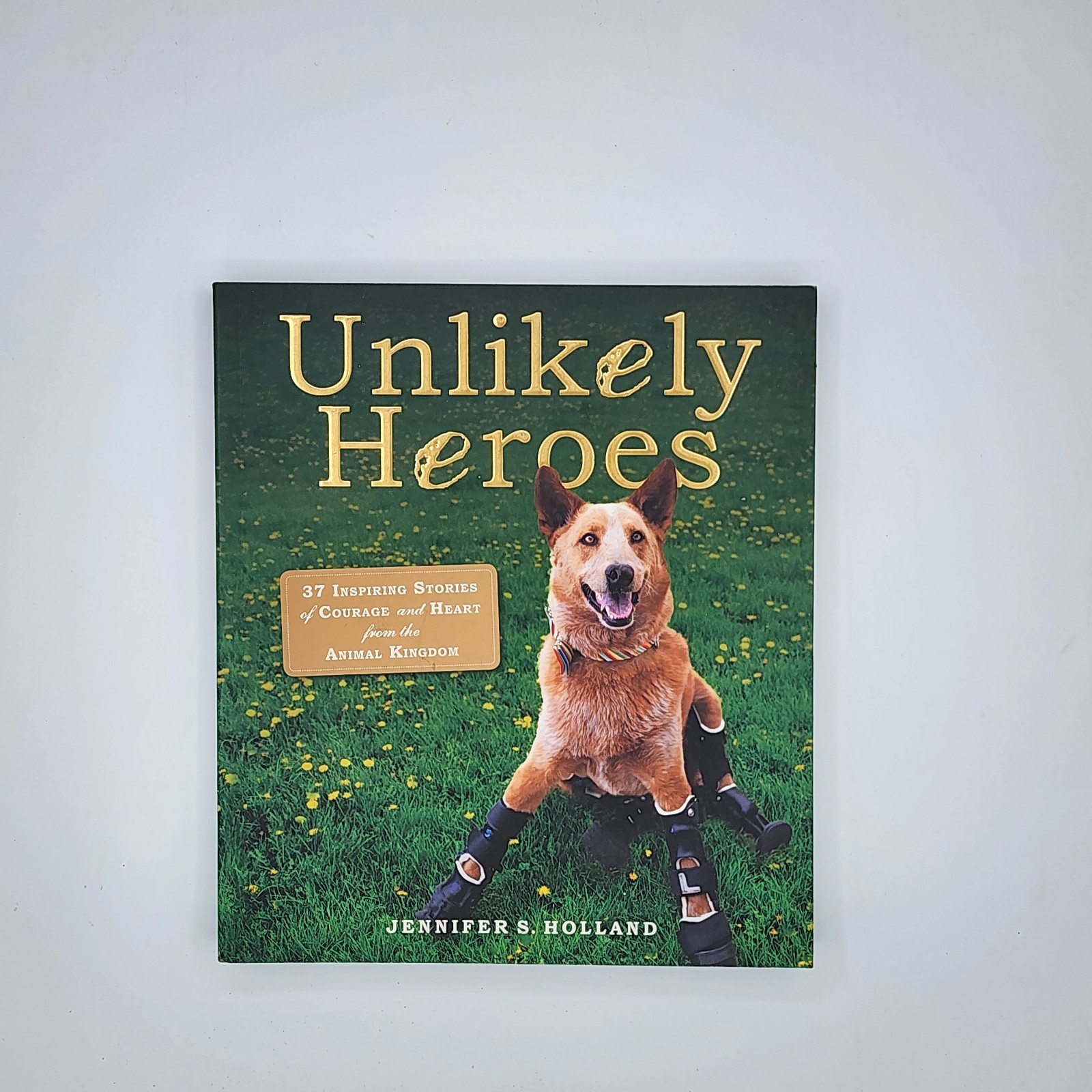 Unlikely Heroes 2014 Jennifer S Holland TP (VG) Inscription by Author