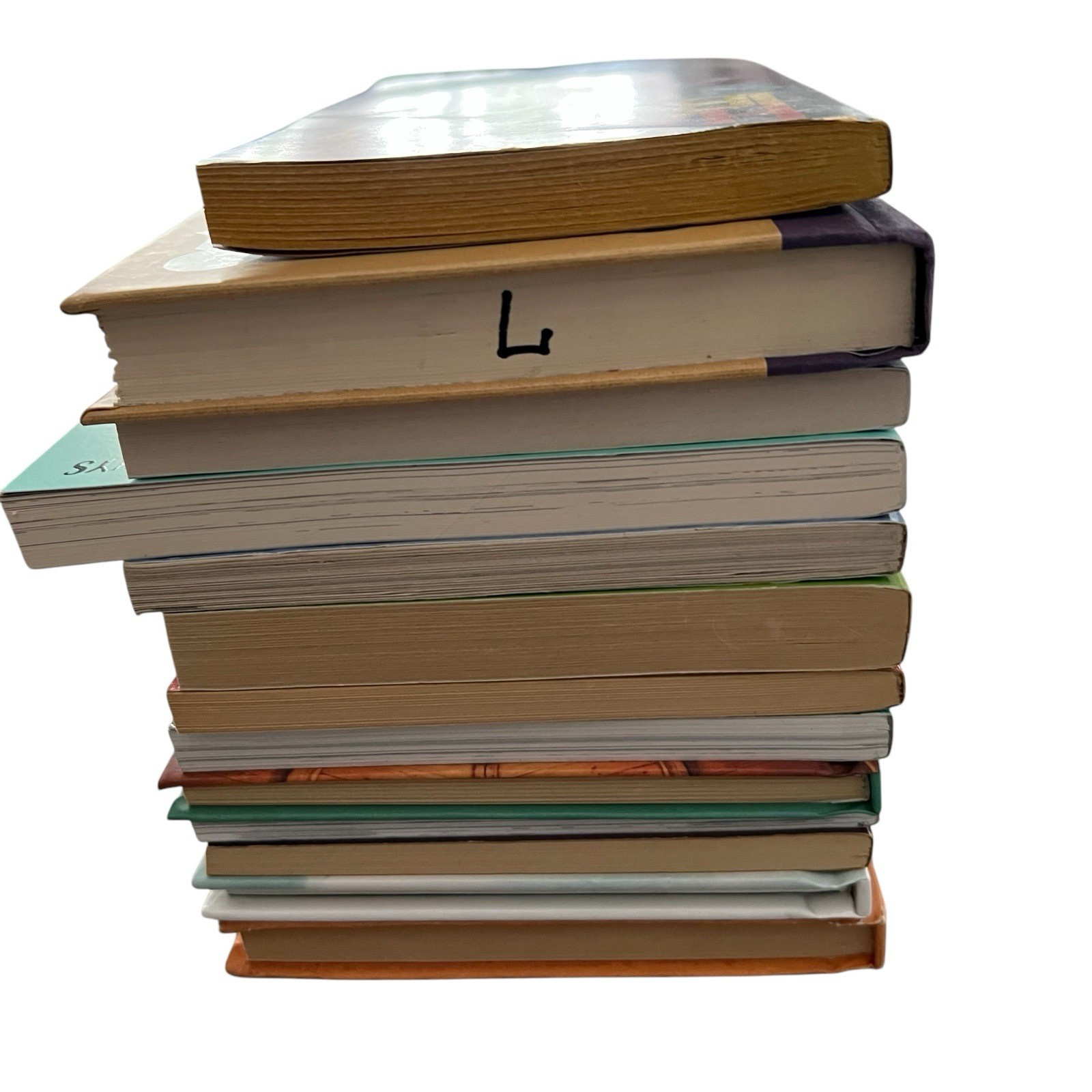 Random Lot of 13 Chapter Books By: Assorted Authors