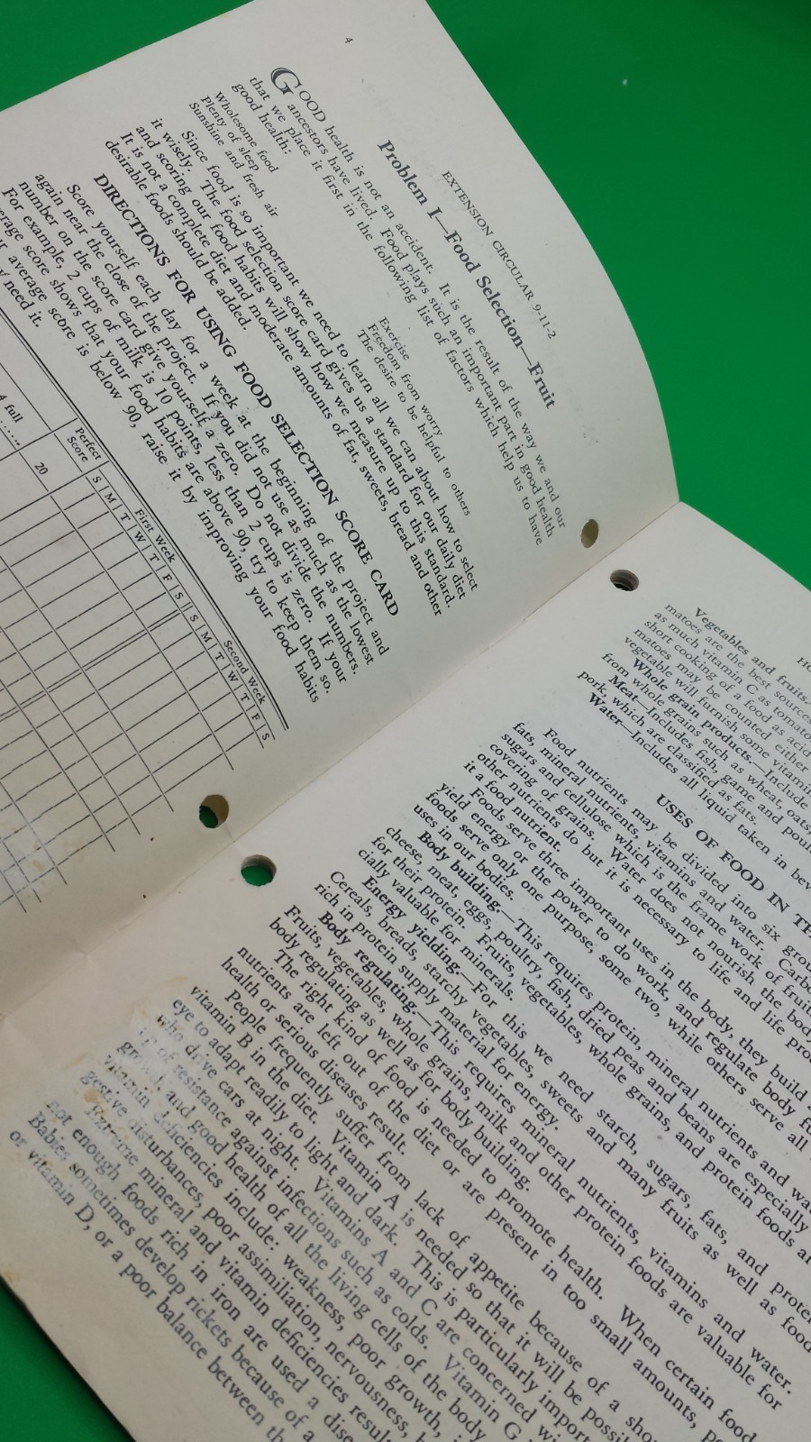 NEBRASKA 4H Hows and Whys for young cooks 45 pages RARE classic