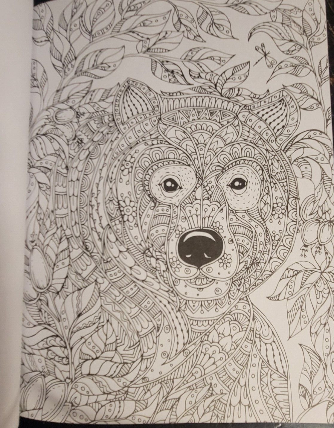 COLORS OF THE WILD Vol. 21 Adult Coloring Book With 47 Prints Ready To Frame!