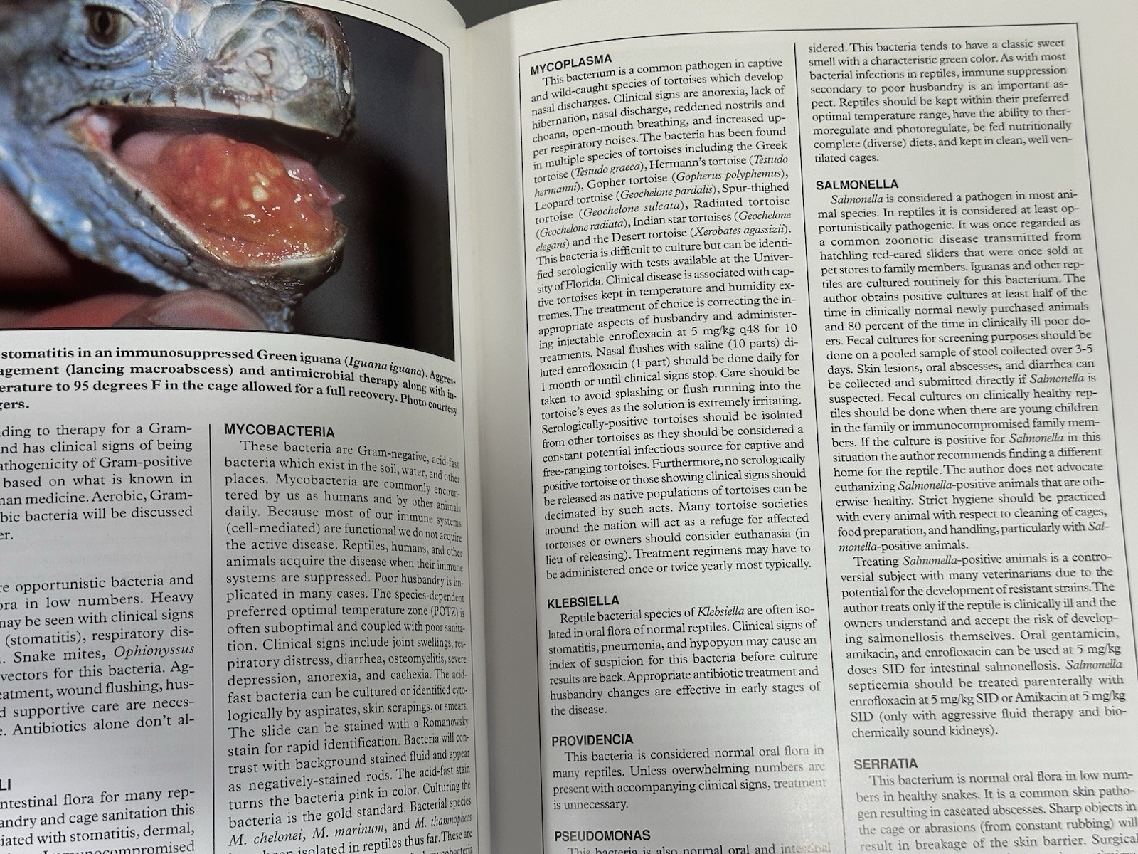 Health Care of Reptiles Vol. 3 (Biology, Husbandry and Health Care Hard Cover