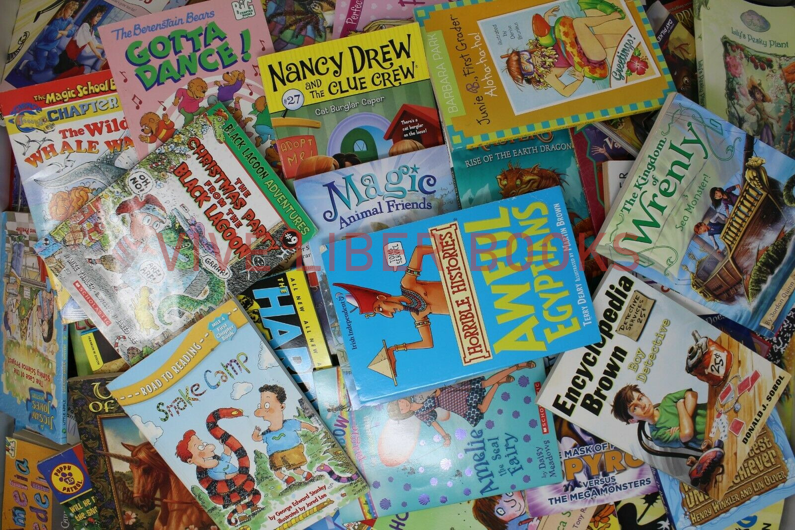 Lot of 25 of Children’s Kids Chapter Books – Random – Free Shipping!
