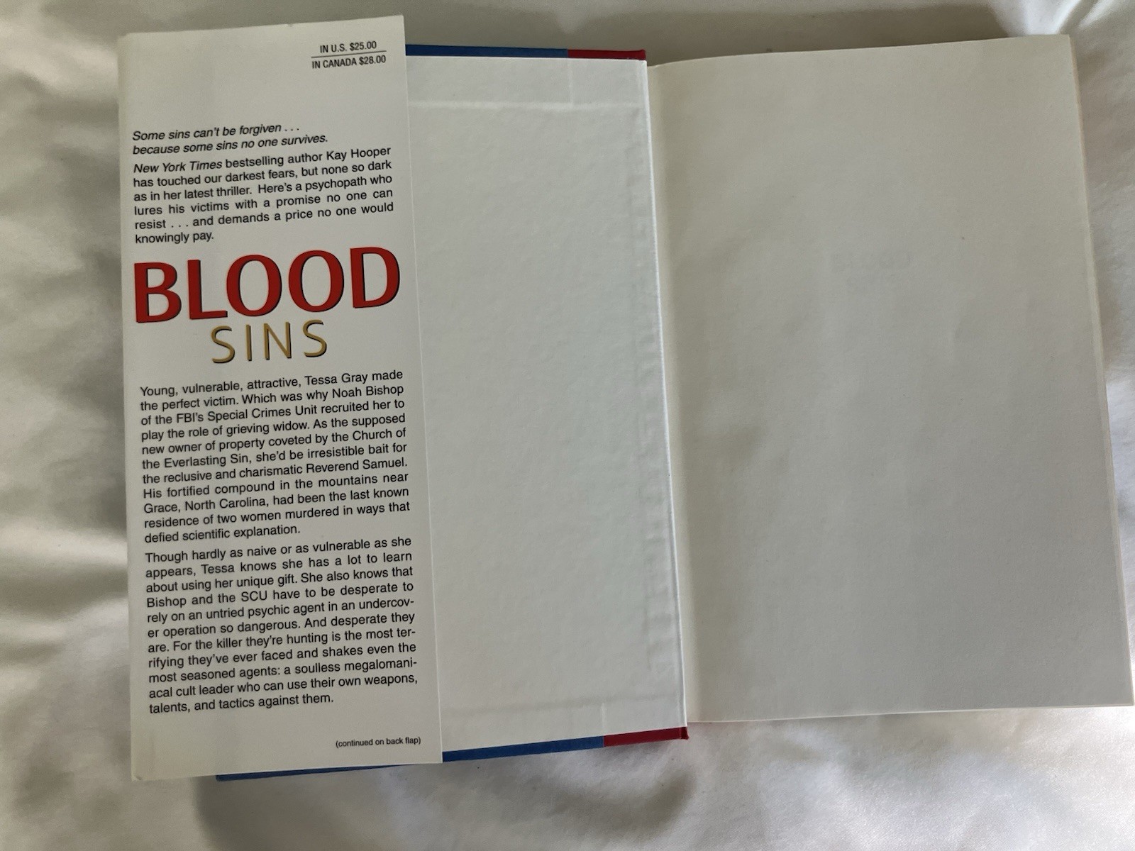 Blood Sins by Kay Hooper (2008, Hardcover) First Edition DJ