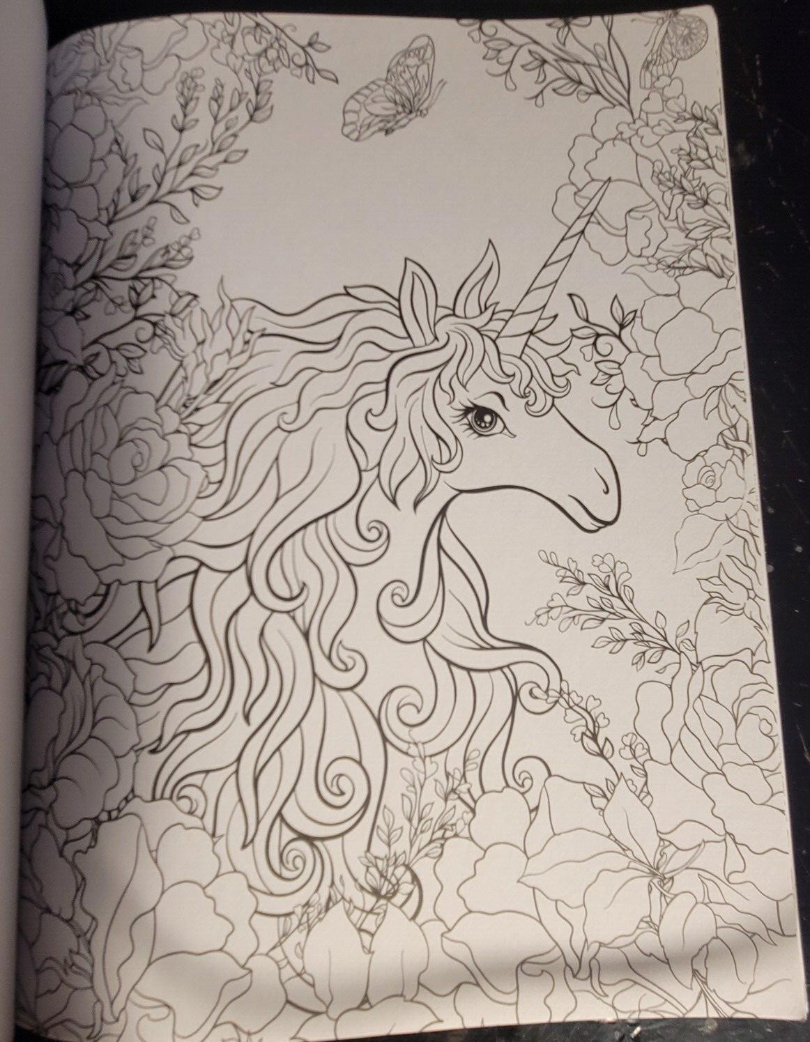 COLORING MYTH & MAGIC Vol 3 Adult Coloring Book With 47 Prints Ready To Frame