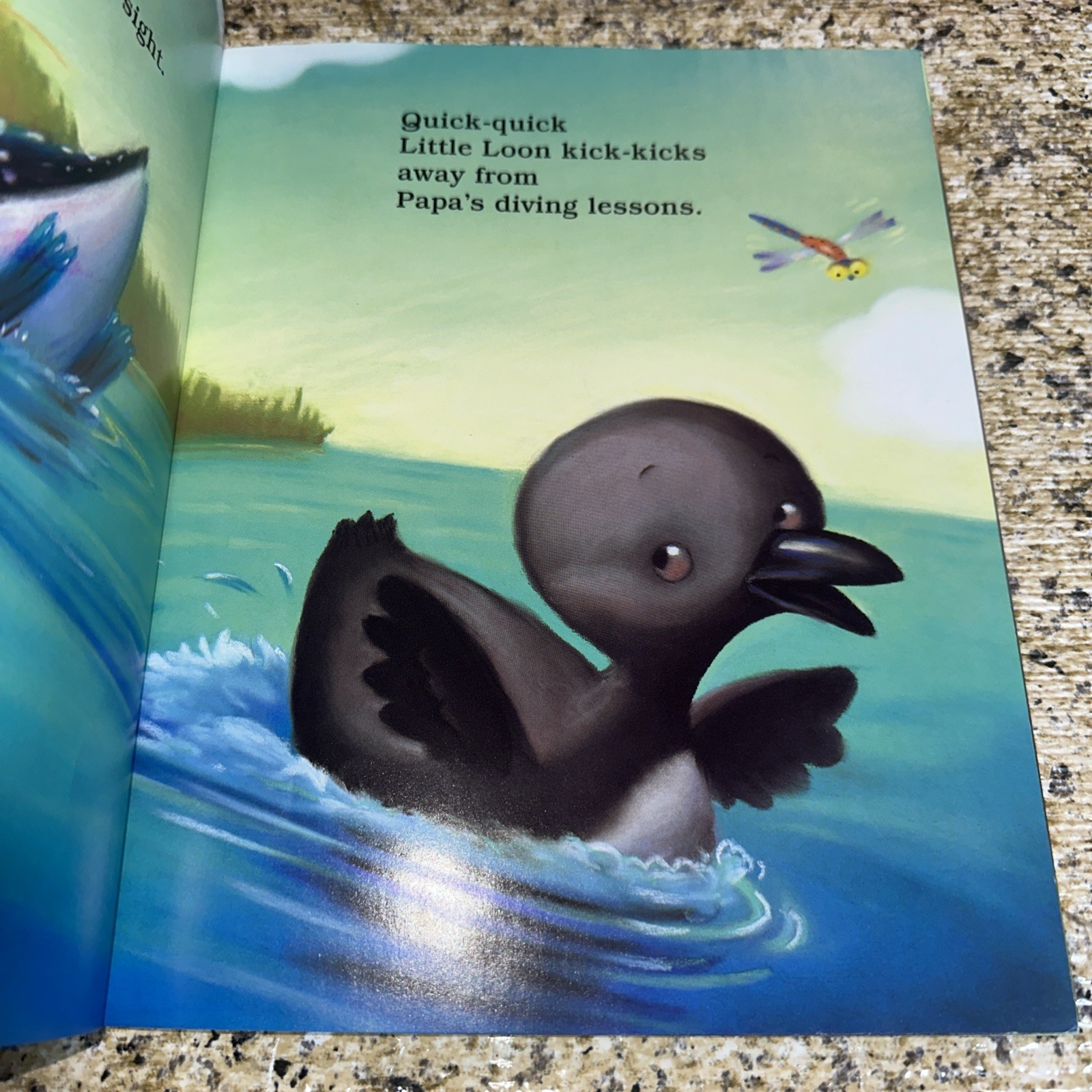 Little Loon and Papa by Toni Buzzeo and Illustrated by Margaret Spengler PB