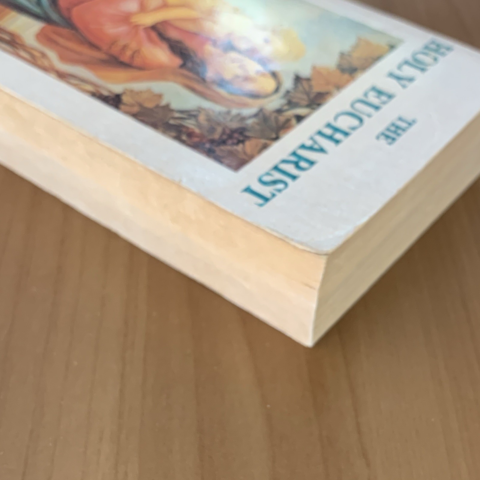 St. Alphonsus de Liguori The Holy Eucharist Paperback 1934 3rd Reprint Rev