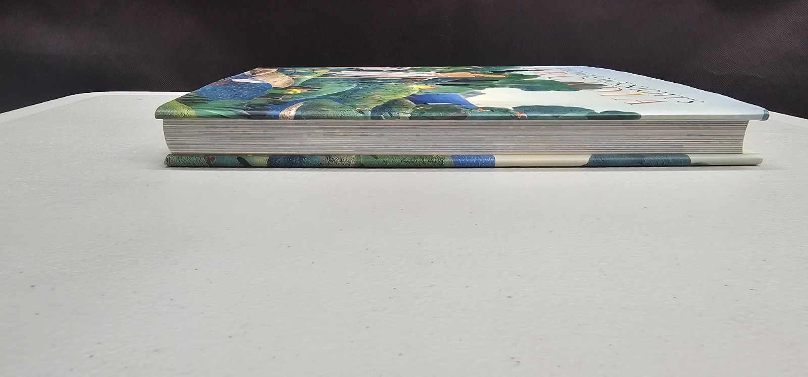 Thomas Mcknight’s Arcadia by Francesco Colonna Hardcover