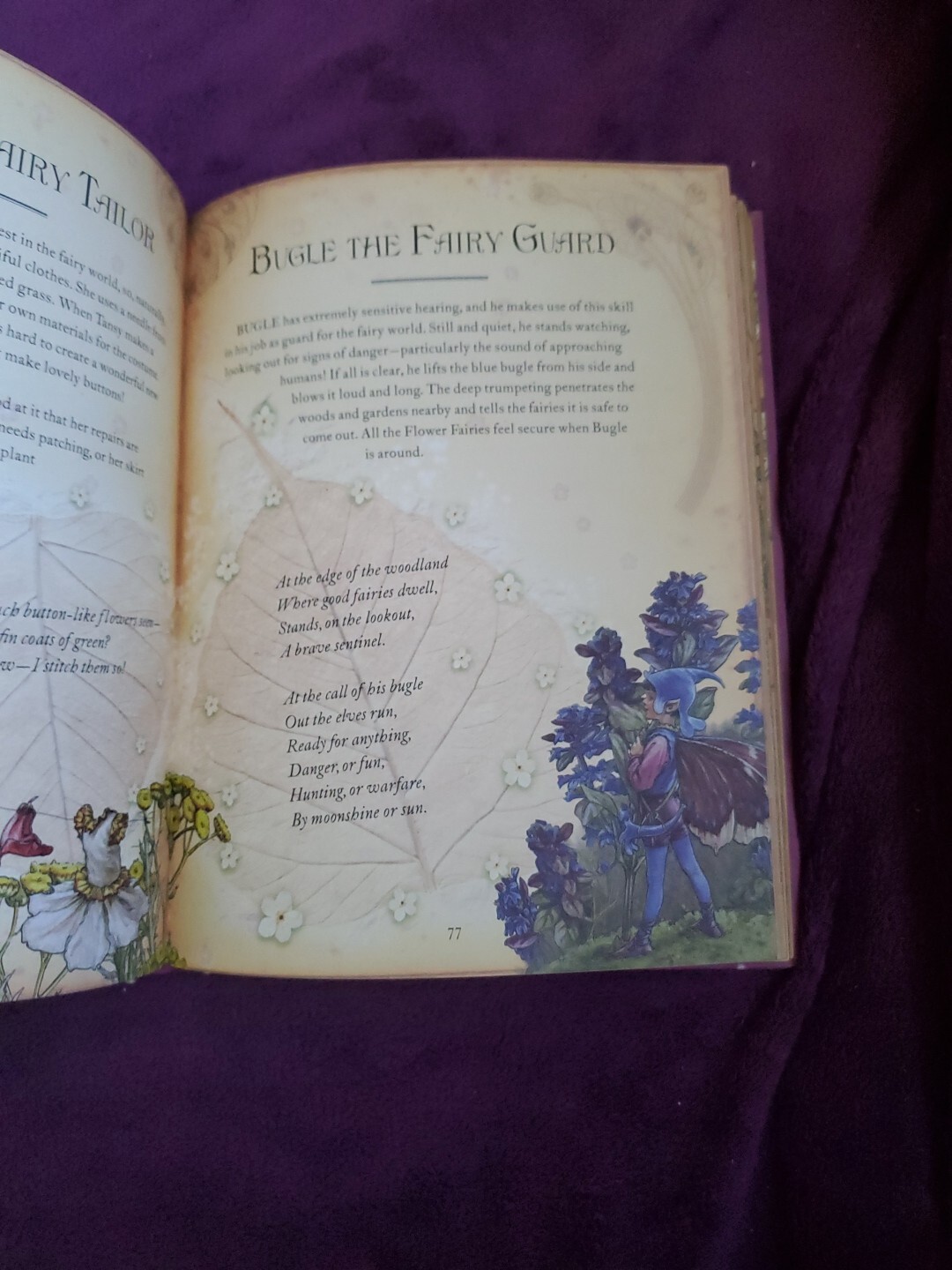 The Girls’ Book of Flower Fairies (HC, 2008) Frederick Warne (Crafts & Stories)