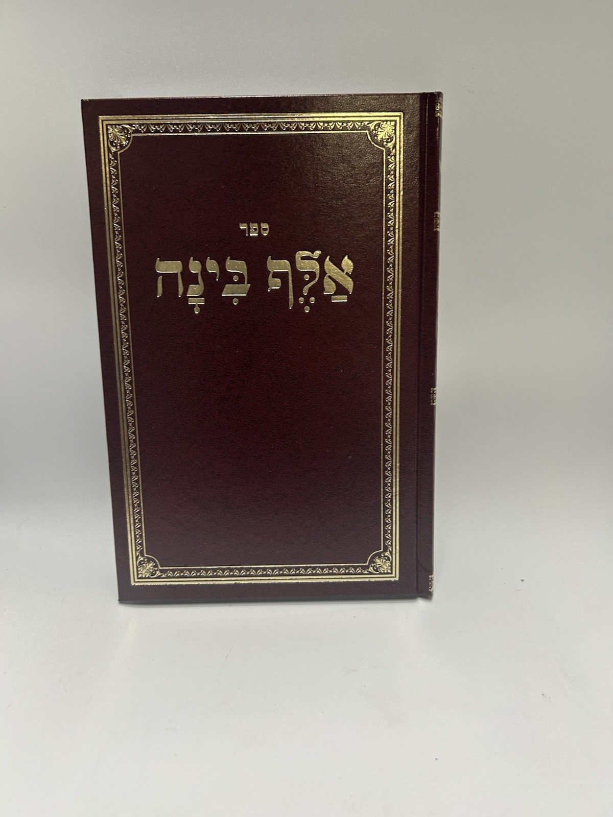 Sefer Alef Binah Mini, Hebrew Alef Bais Kriah Primer for Children , NEW