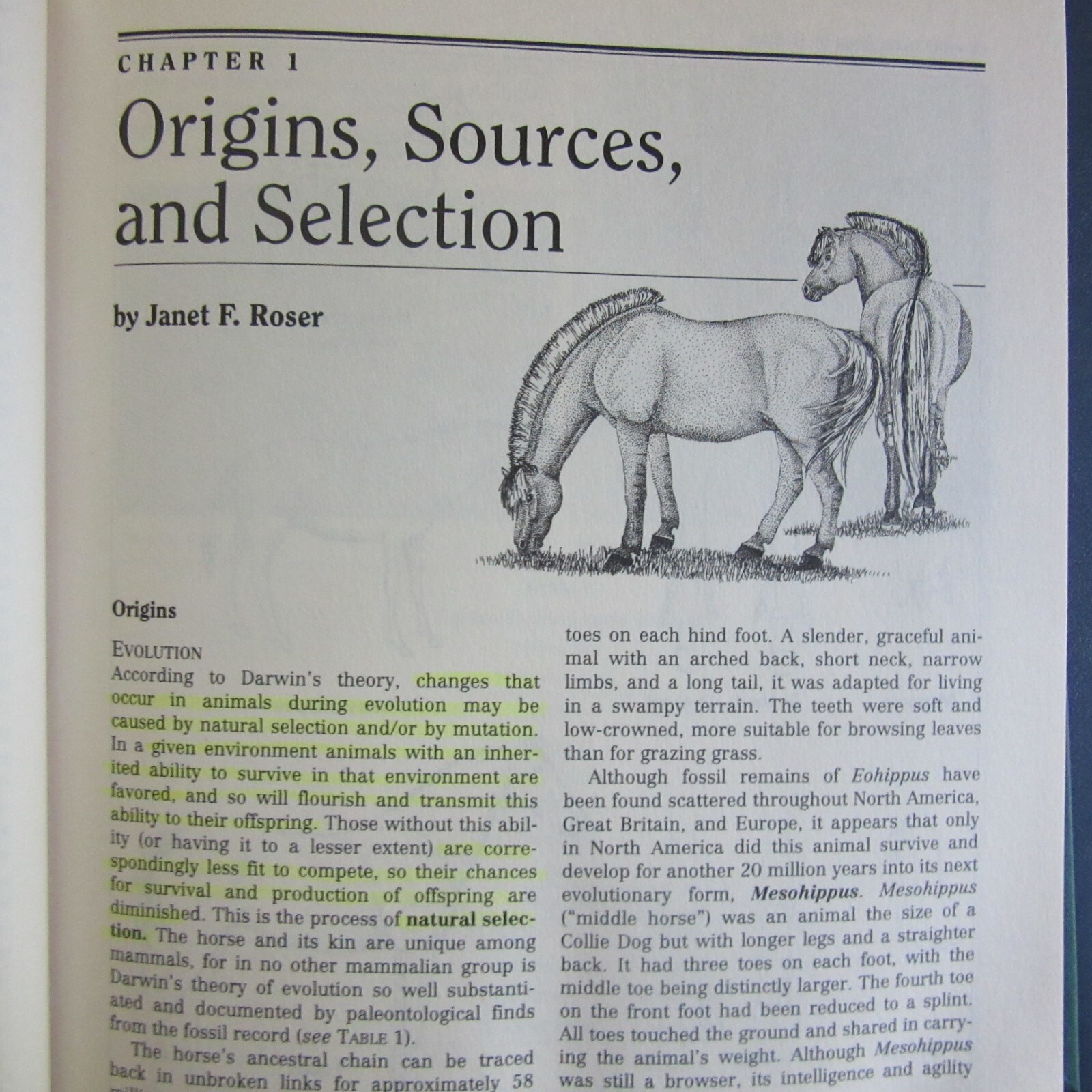 UCDAVIS Book of Horses ed. Mordecai Siegal 1996 first edition