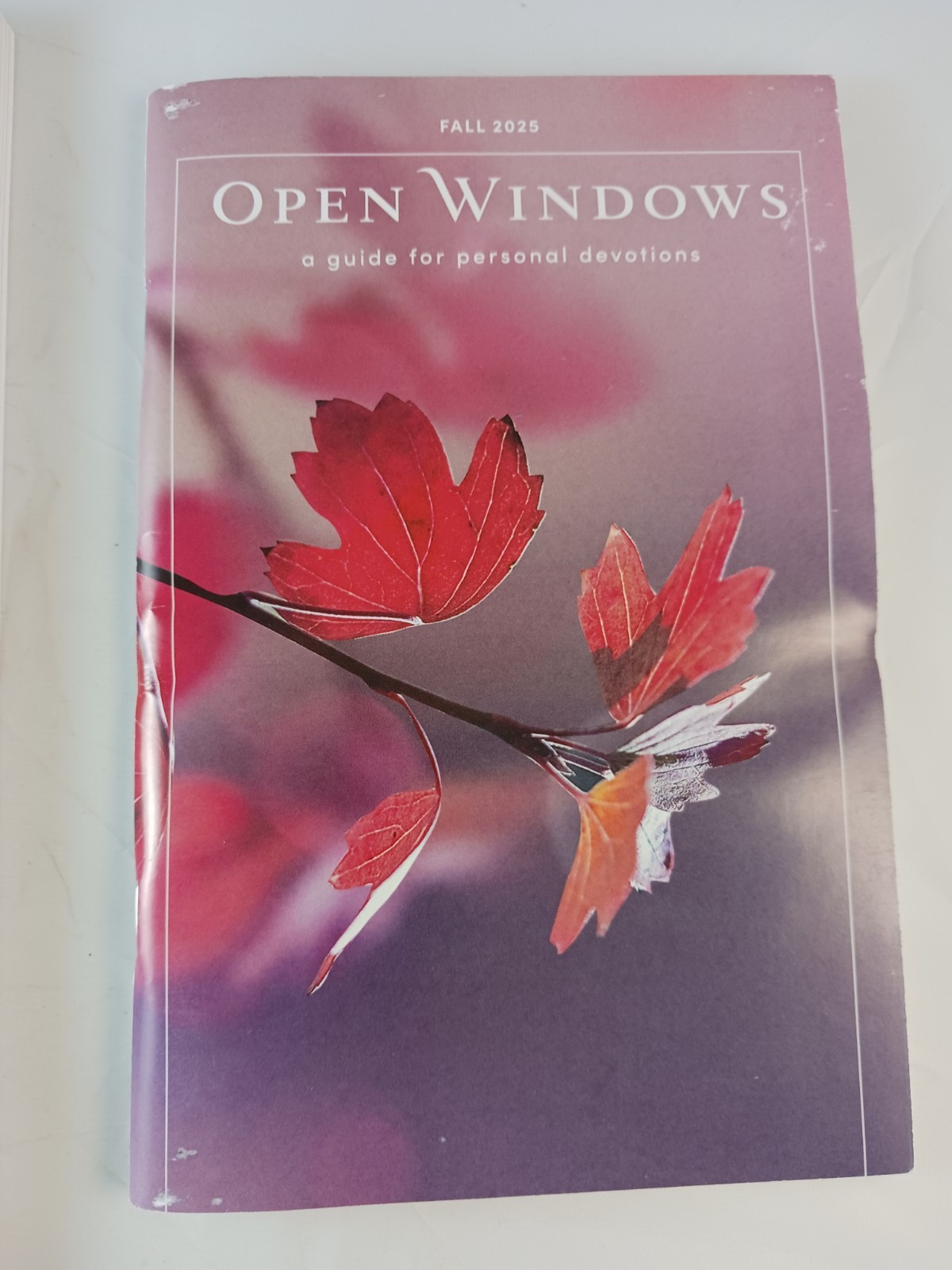 Open Windows Devotions Fall 2025 & Bible Studies For Life Study Guide, 2 Books