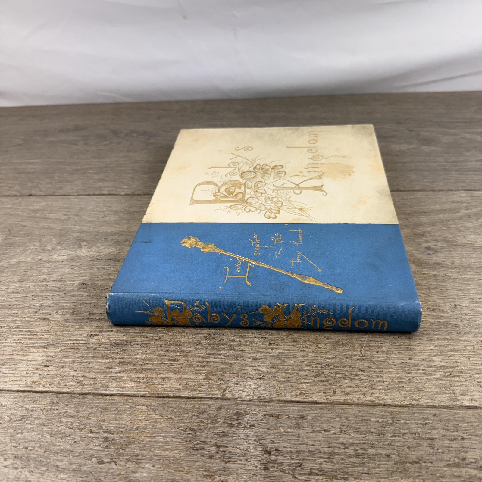 Vintage 1897 Baby’s Kingdom Annie F. Cox Baby Memory Book Hardcover Boston MA