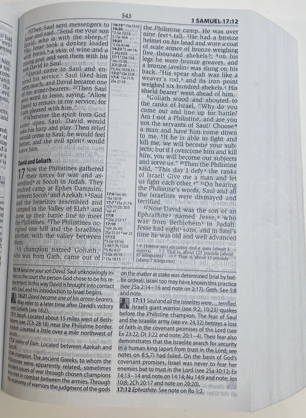 NIV Study Bible 2008 Zondervan Paperback New Testament Red Letter
