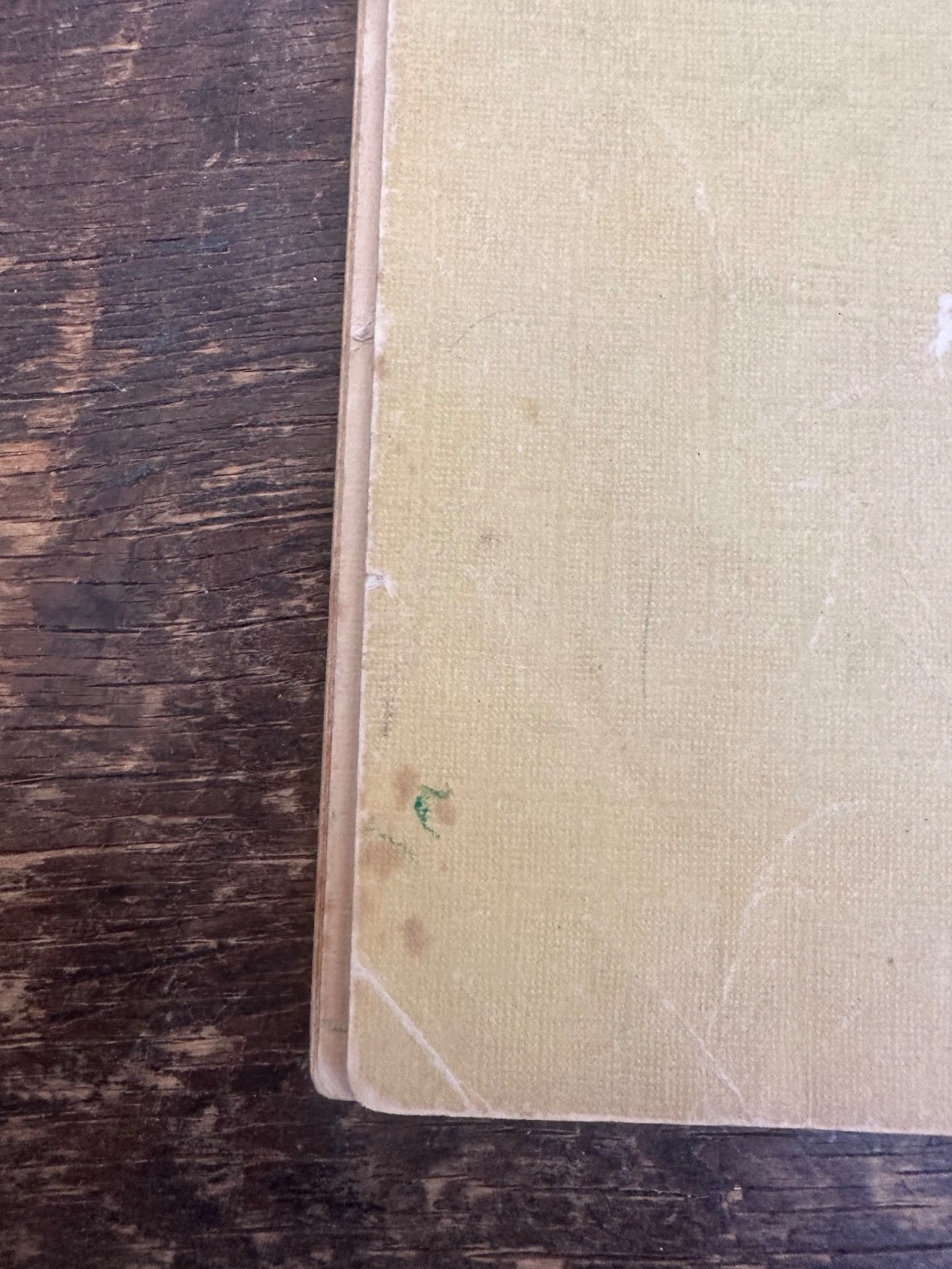 1935 Walt Disney’s Donald Duck Book Whitman Publishing Original!