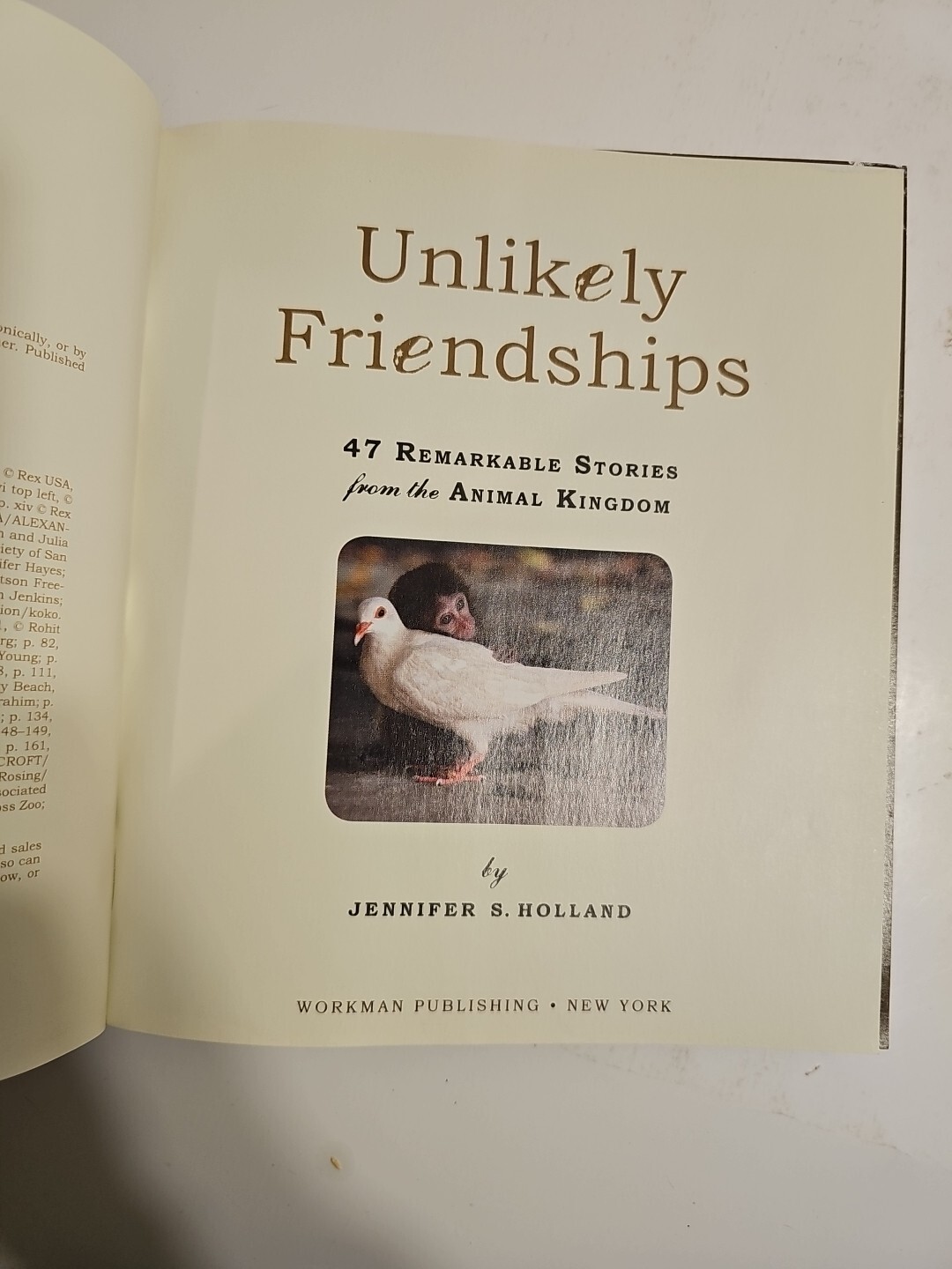 Unlikely Friendships 47 Remarkable Stories Animal Kingdom Jennifer Holland